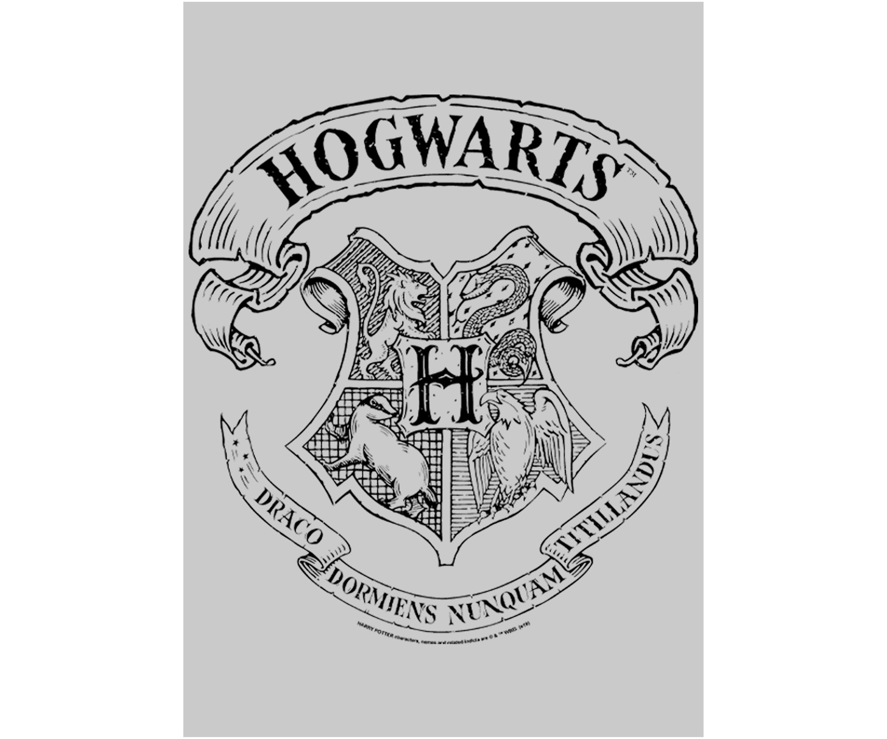 Harry Potter Hogwarts Crest Crew Fleece Graphic Sweatshirt