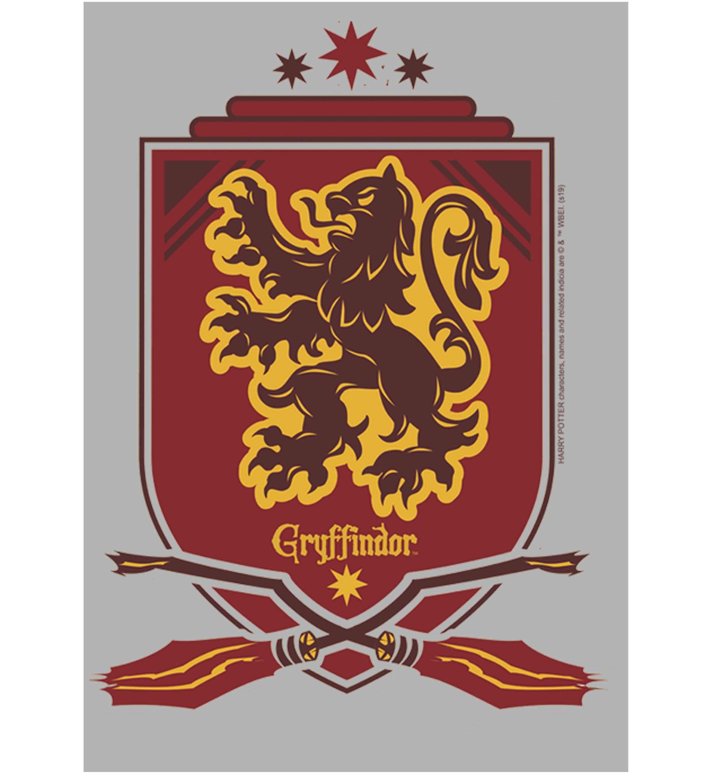 Harry Potter Gryffindor Shield Fleece Graphic Hoodie