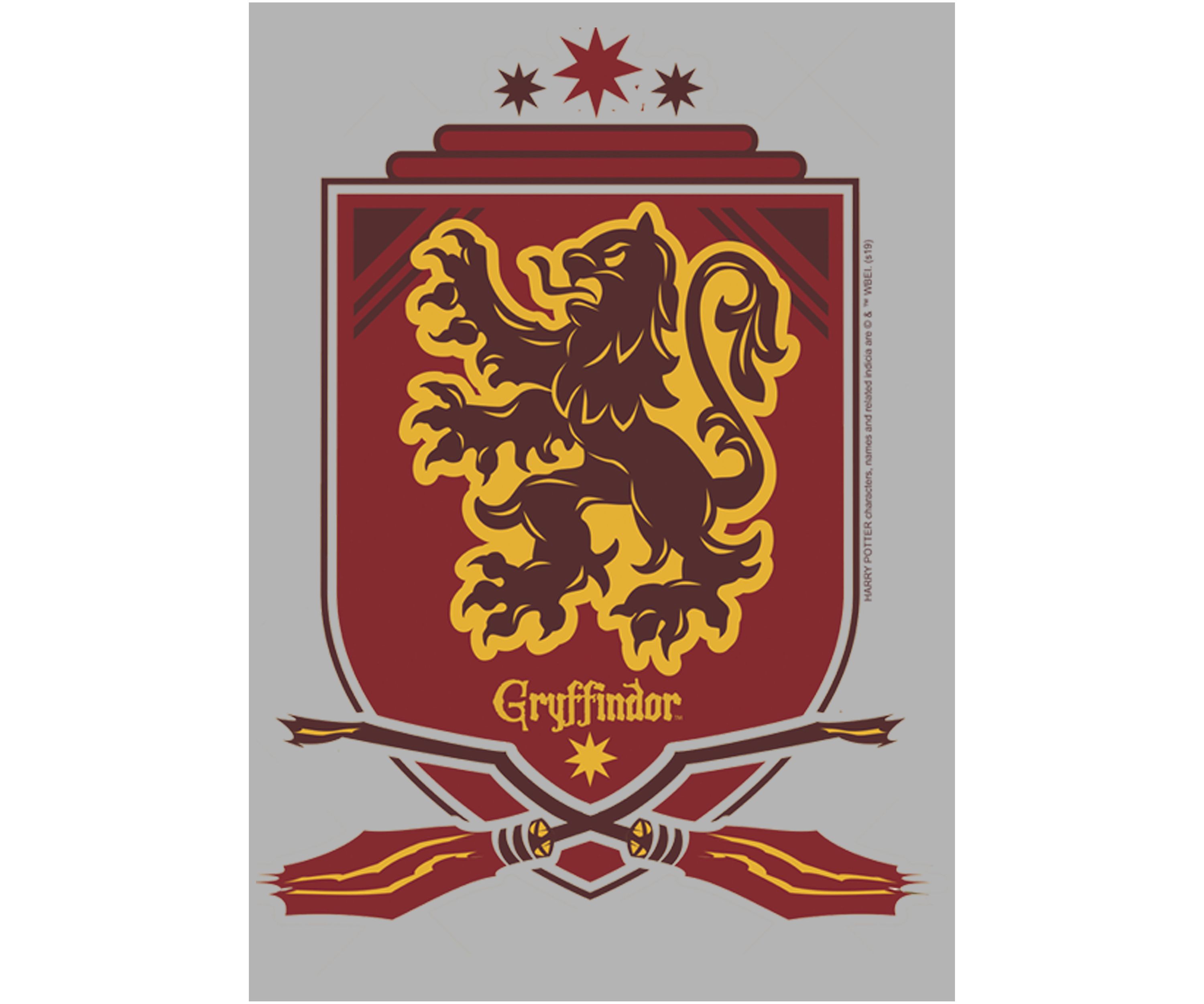 Harry Potter Gryffindor Shield Fleece Graphic Hoodie