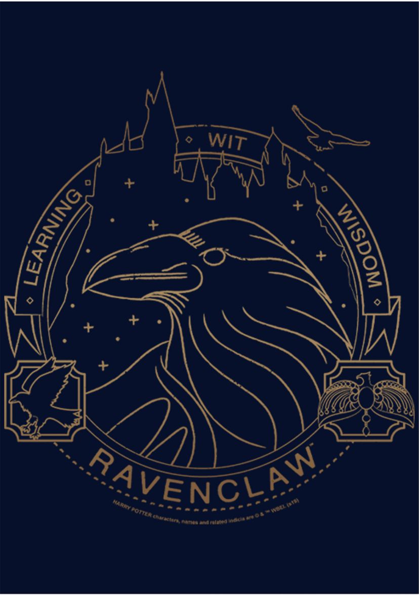Harry Potter Ravenclaw Line Art Symbol Fleece Graphic Hoodie