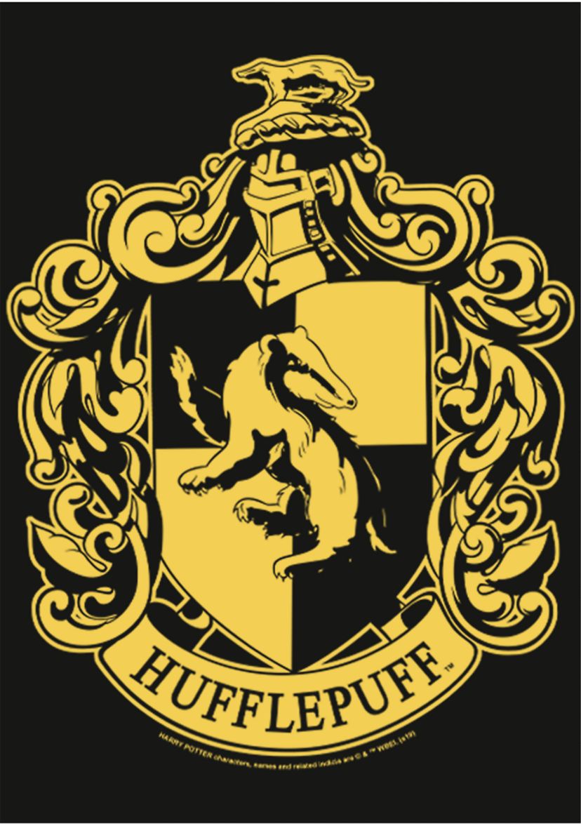 Harry Potter Simple Hufflepuff Long Sleeve Graphic Crew T-Shirt