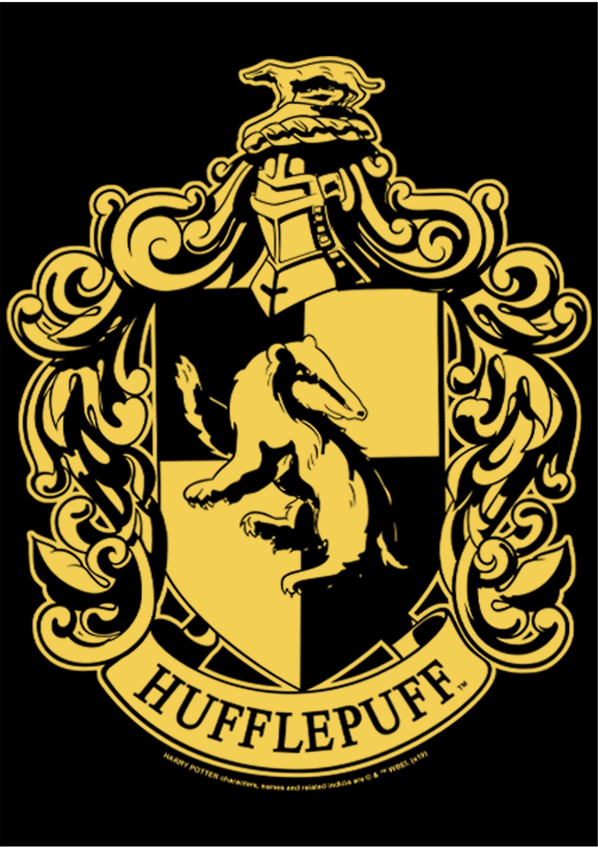 Harry Potter Simple Hufflepuff Fleece Graphic Hoodie