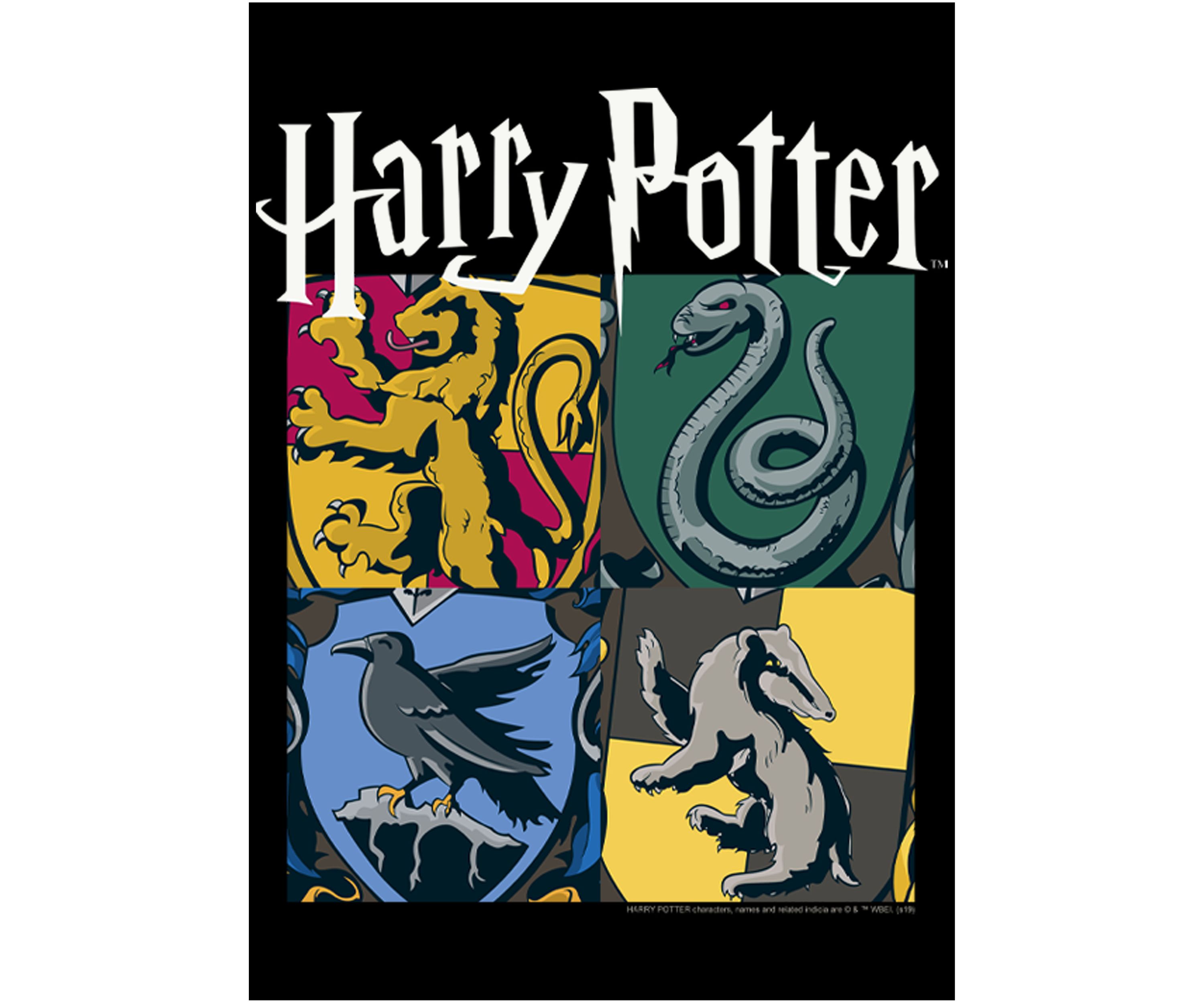 Harry Potter All Houses Fleece Graphic Hoodie