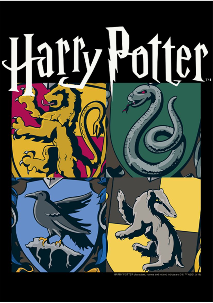 Harry Potter All Houses Fleece Graphic Hoodie