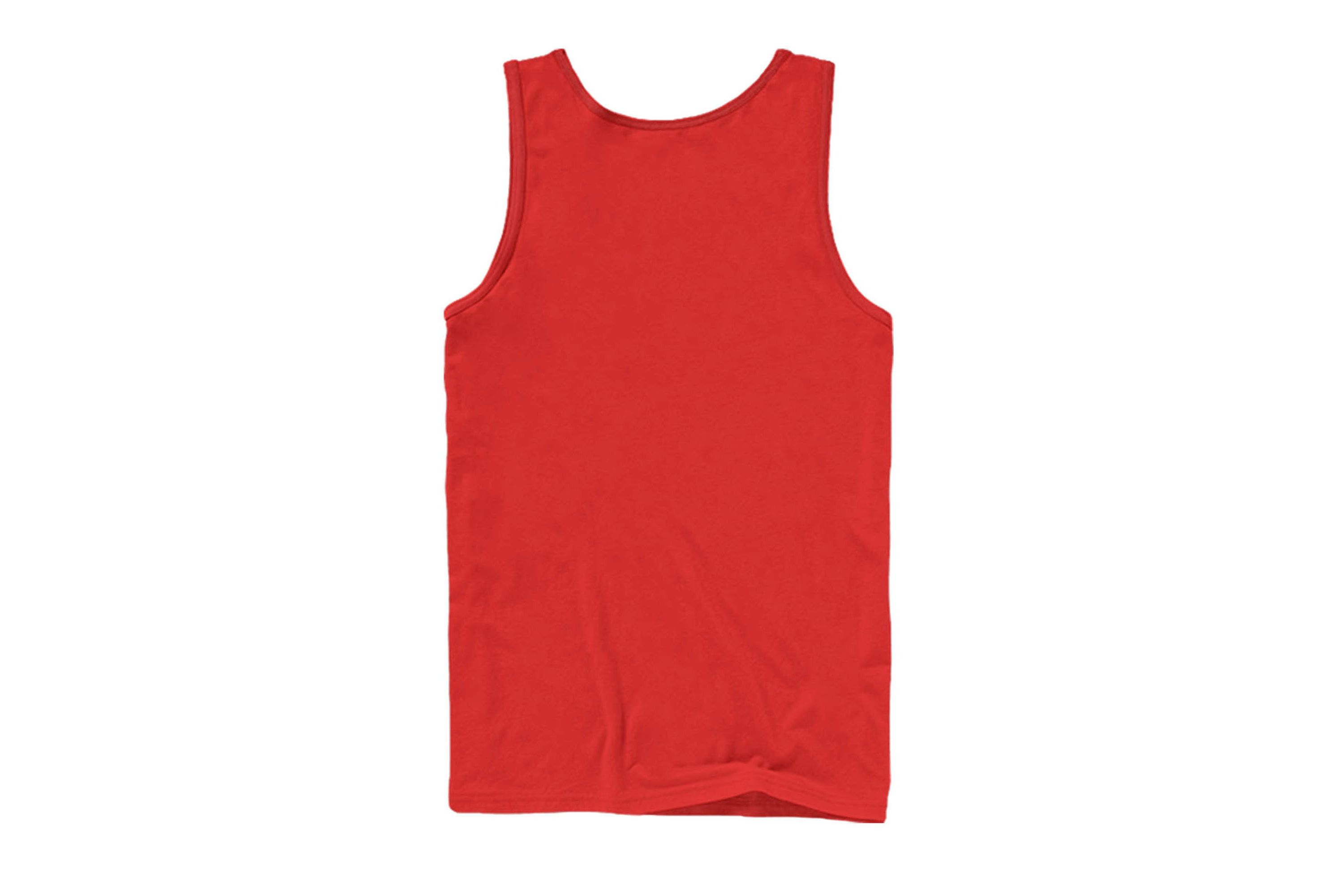 Gryffindor Quidditch Seeker Graphic T-Shirt