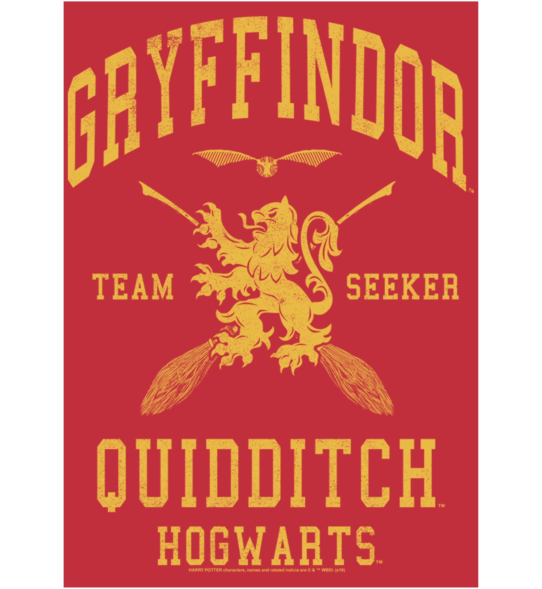  Harry Potter Gryffindor Quidditch Seeker Crew Fleece Graphic Sweatshirt