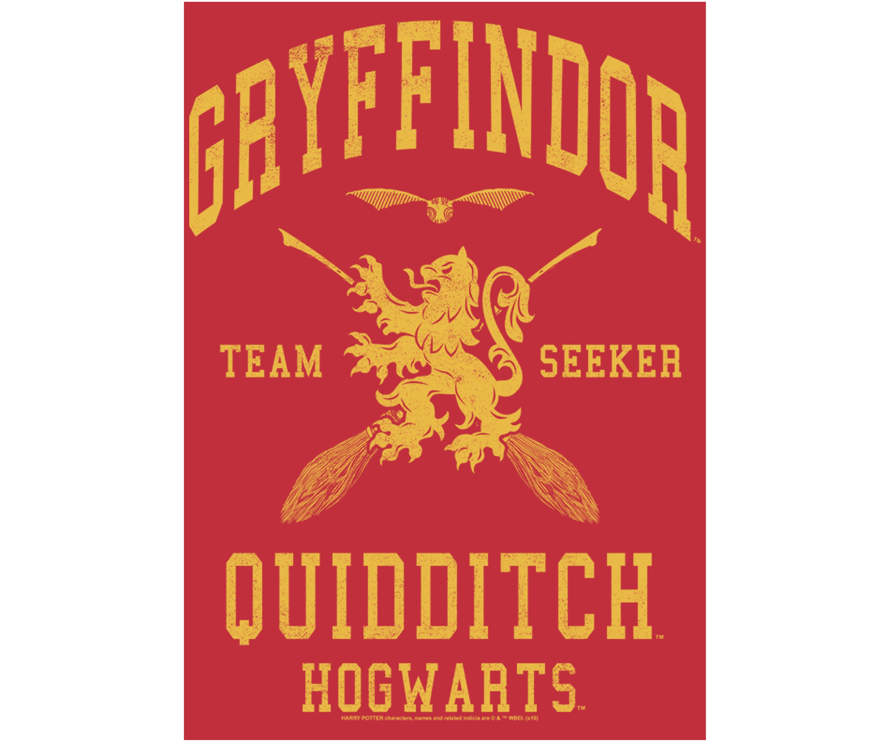  Harry Potter Gryffindor Quidditch Seeker Crew Fleece Graphic Sweatshirt
