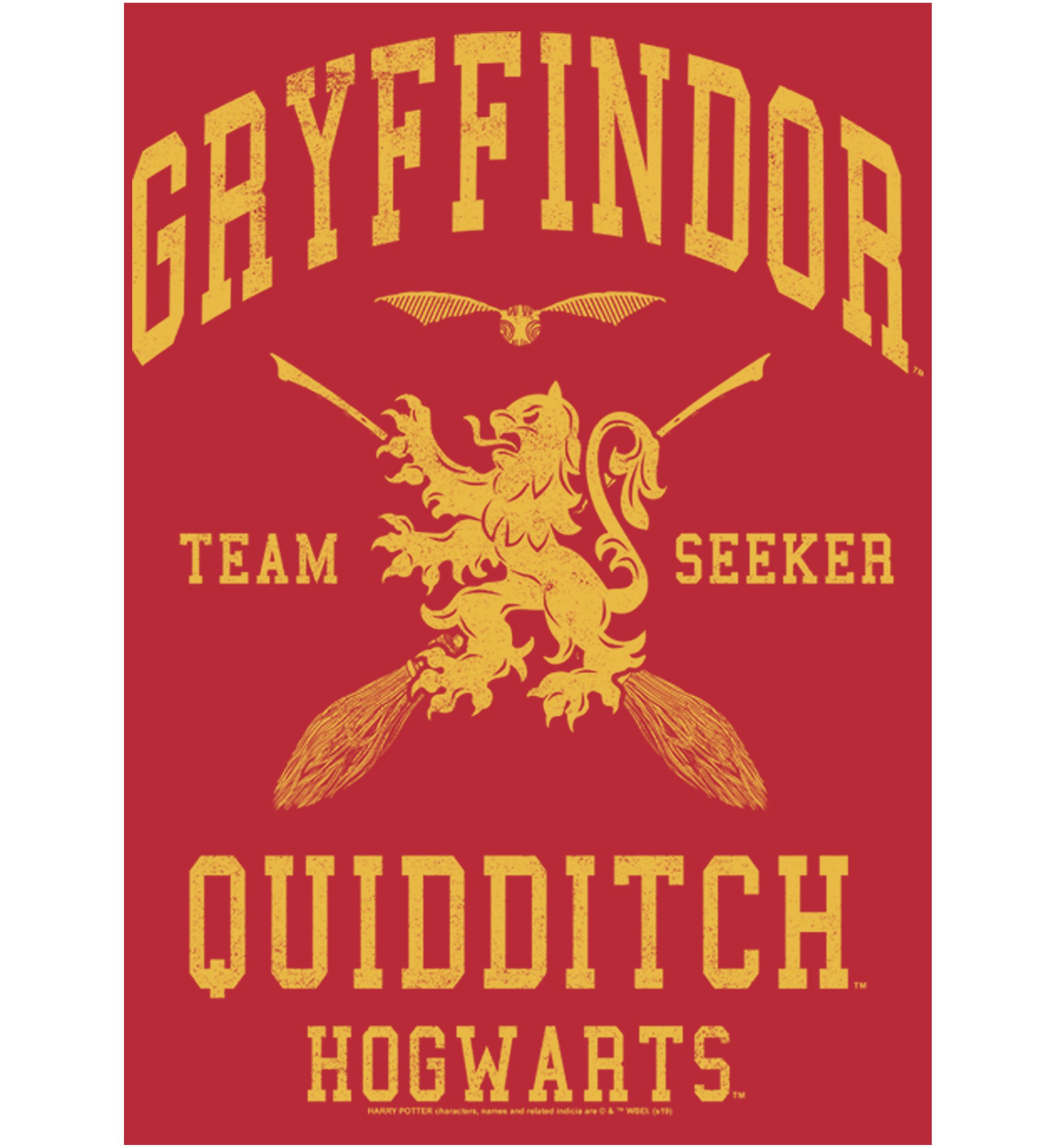 Harry Potter Gryffindor Quidditch Seeker Fleece Graphic Hoodie