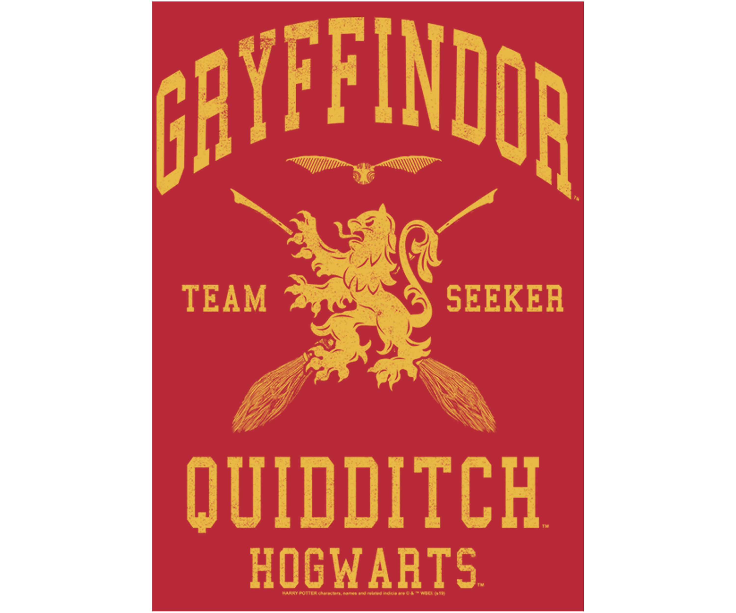 Harry Potter Gryffindor Quidditch Seeker Fleece Graphic Hoodie