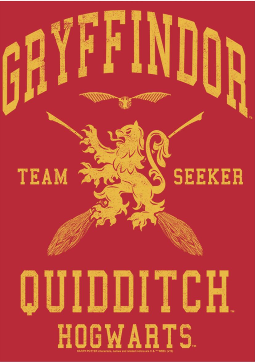 Harry Potter Gryffindor Quidditch Seeker Fleece Graphic Hoodie