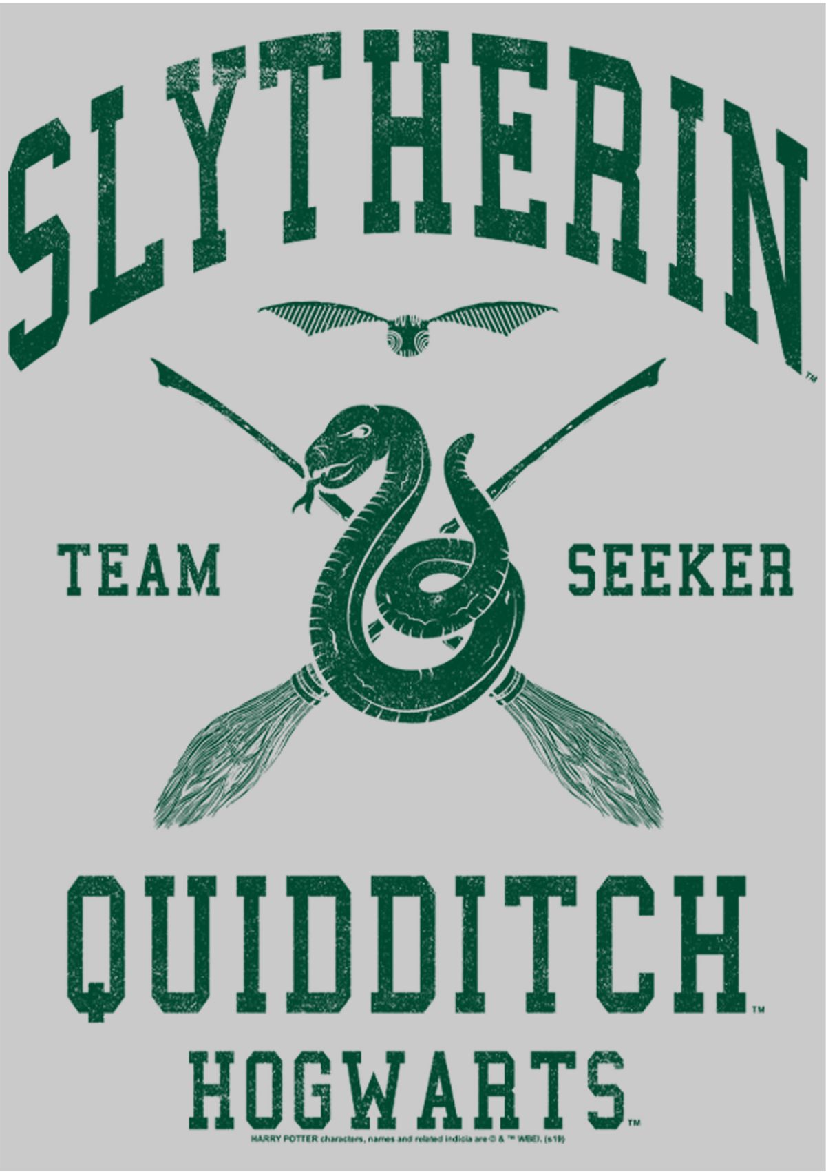 Harry Potter Slytherin Quidditch Seeker Crew Fleece Graphic Graphic Sweatshirt