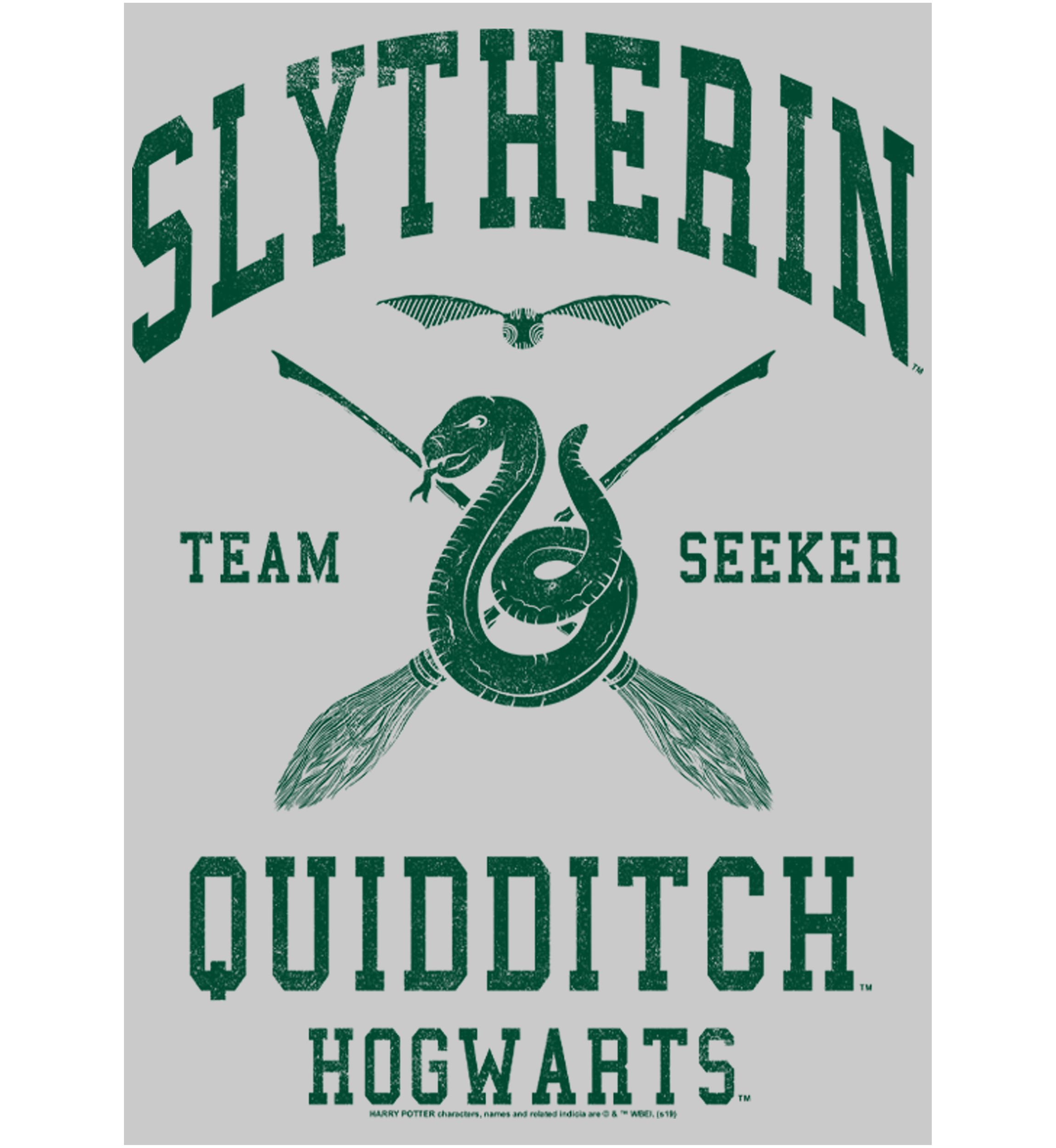 Harry Potter Slytherin Quidditch Seeker Crew Fleece Graphic Graphic Sweatshirt