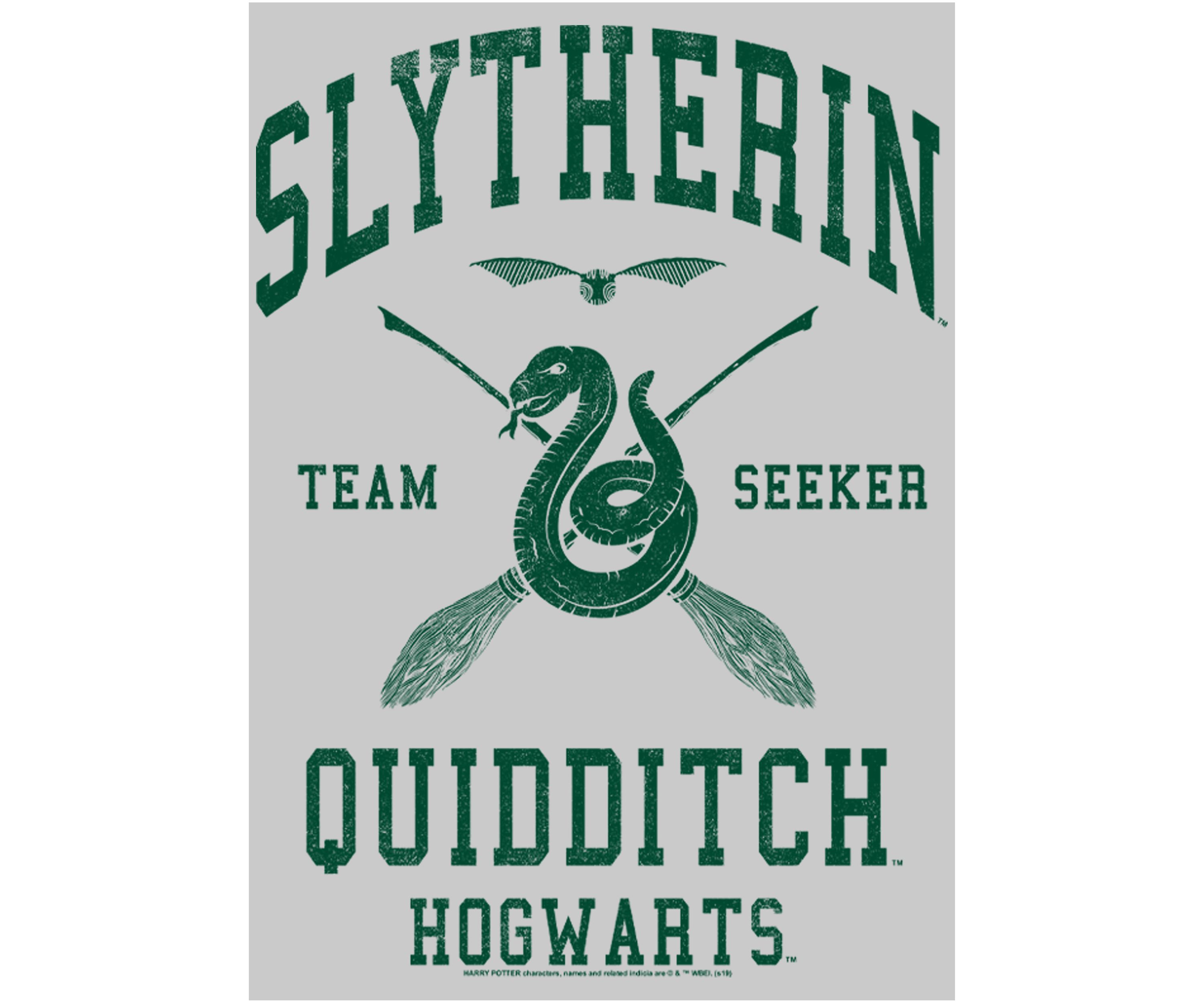 Harry Potter Slytherin Quidditch Seeker Crew Fleece Graphic Graphic Sweatshirt