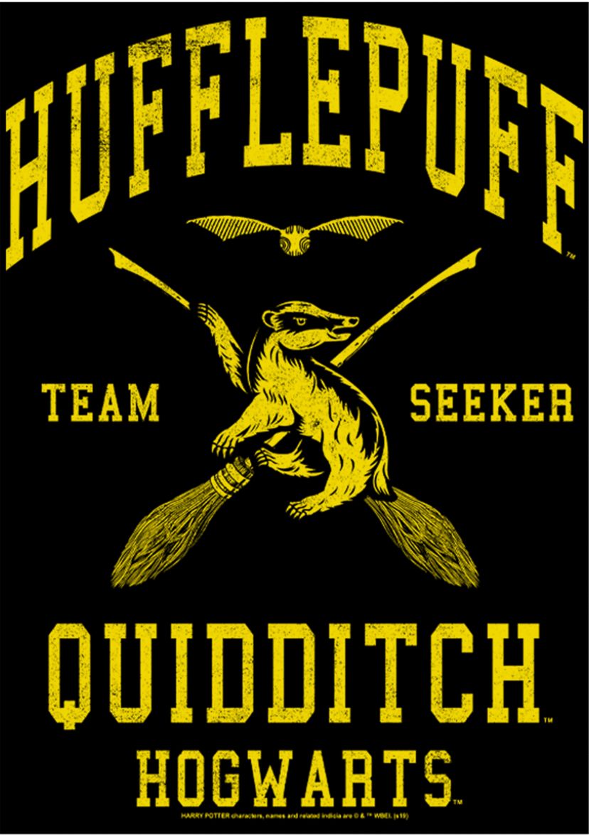 Harry Potter Hufflepuff Quidditch Seeker Crew Fleece Graphic Sweatshirt