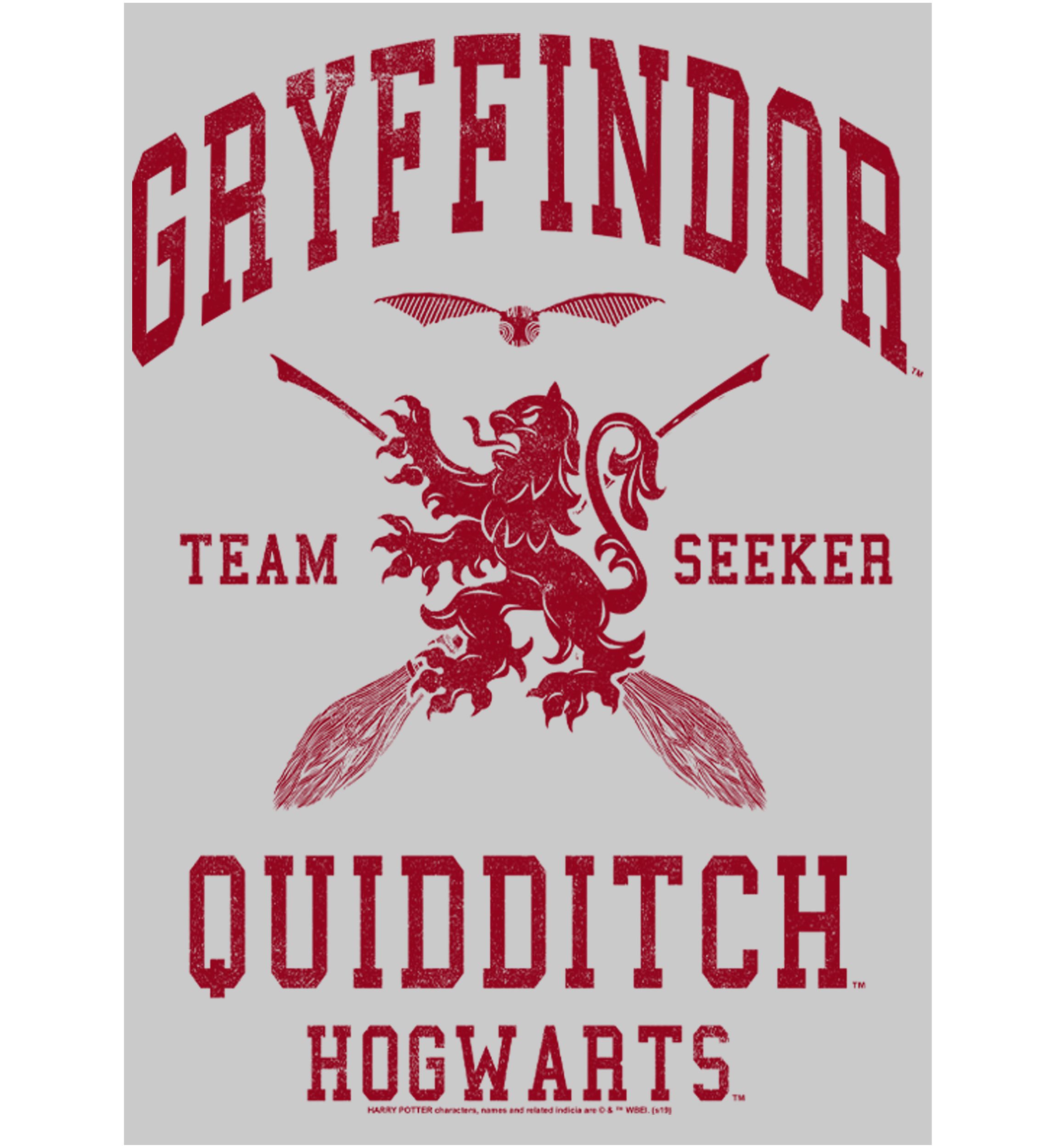 Harry Potter Gryffindor Quidditch Seeker Crew Fleece Graphic Sweatshirt