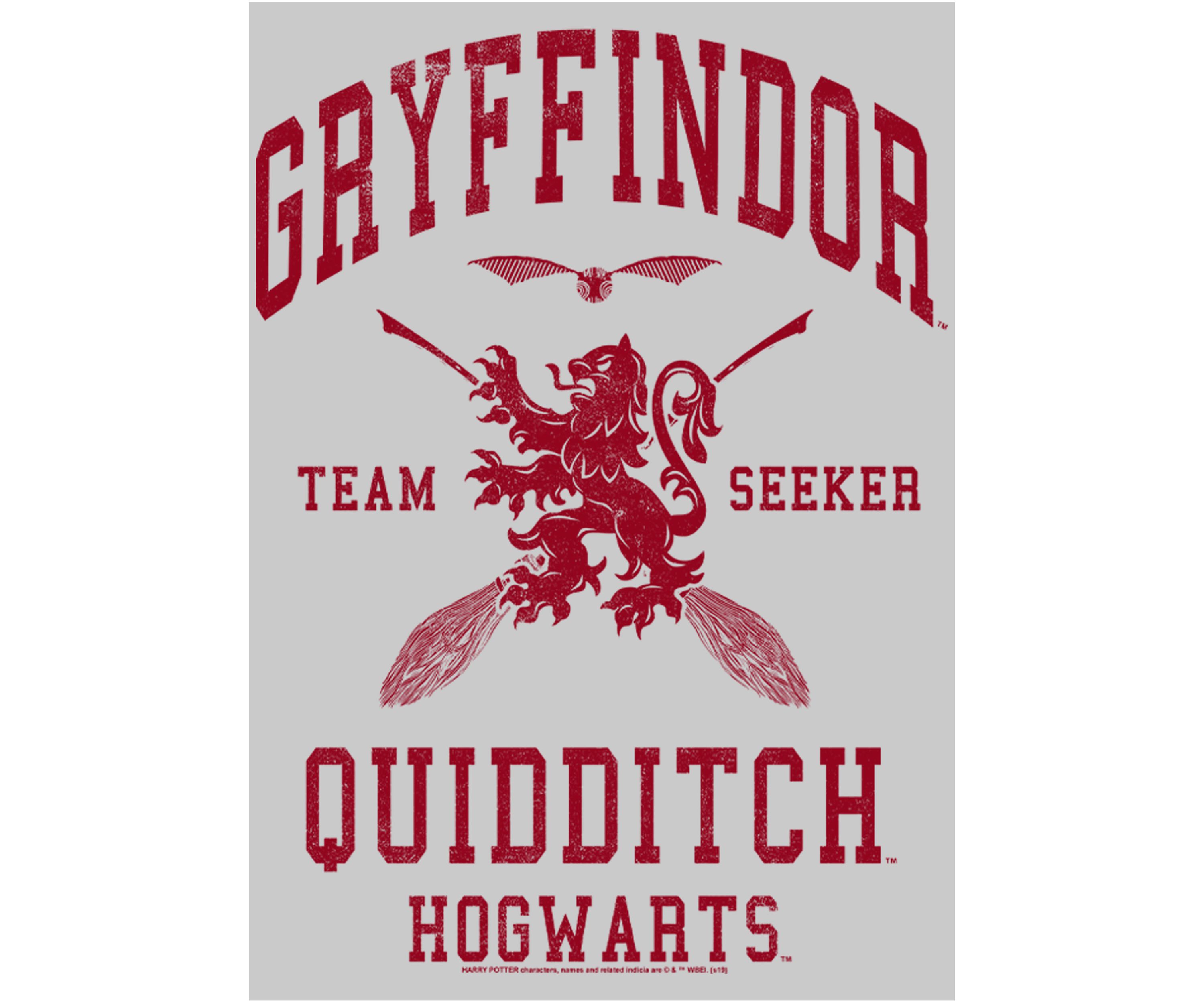 Harry Potter Gryffindor Quidditch Seeker Crew Fleece Graphic Sweatshirt