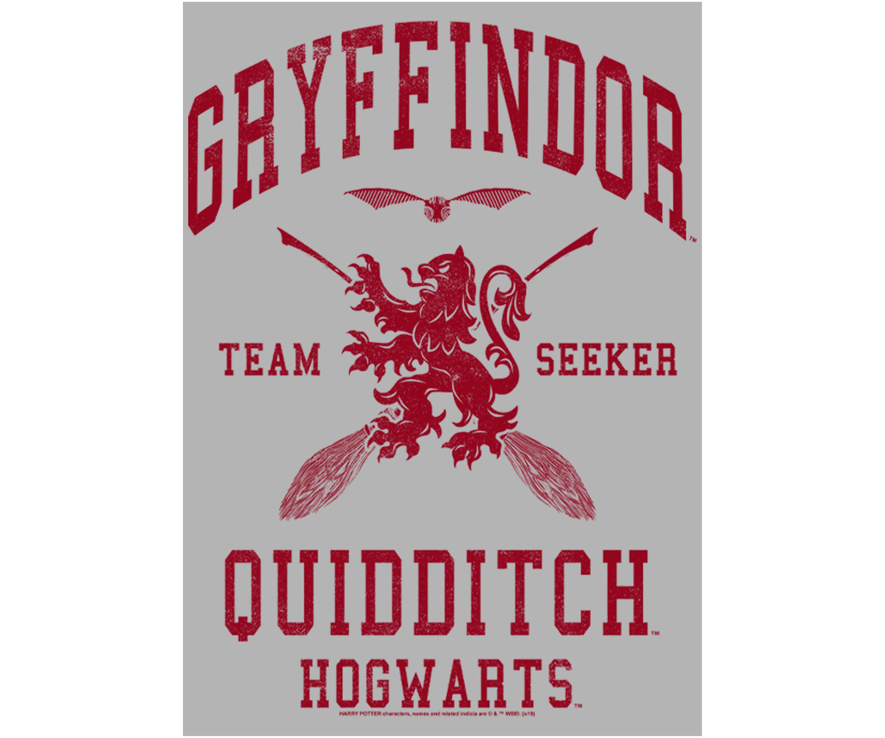  Harry Potter Gryffindor Quidditch Seeker Fleece Graphic Hoodie