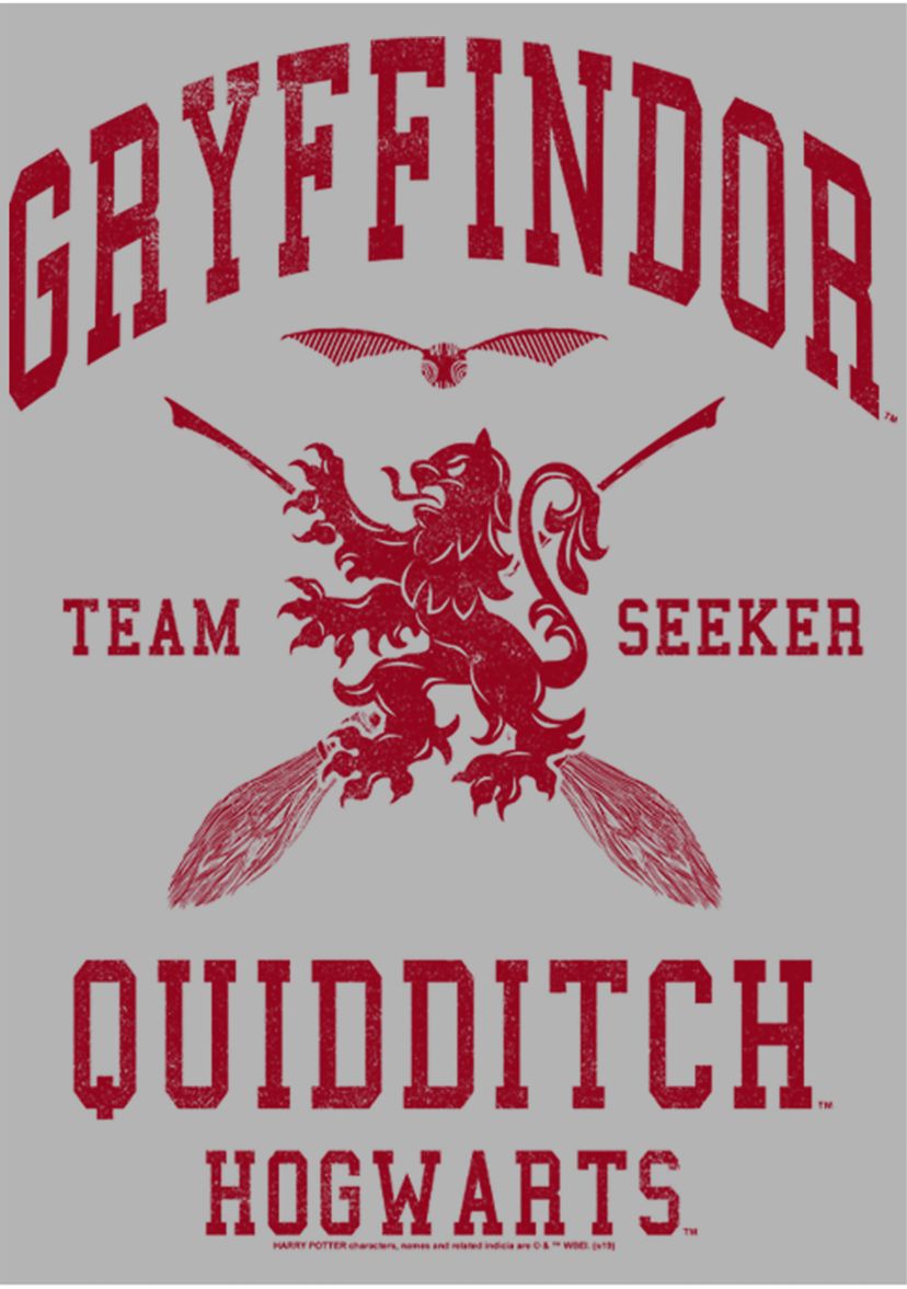  Harry Potter Gryffindor Quidditch Seeker Fleece Graphic Hoodie