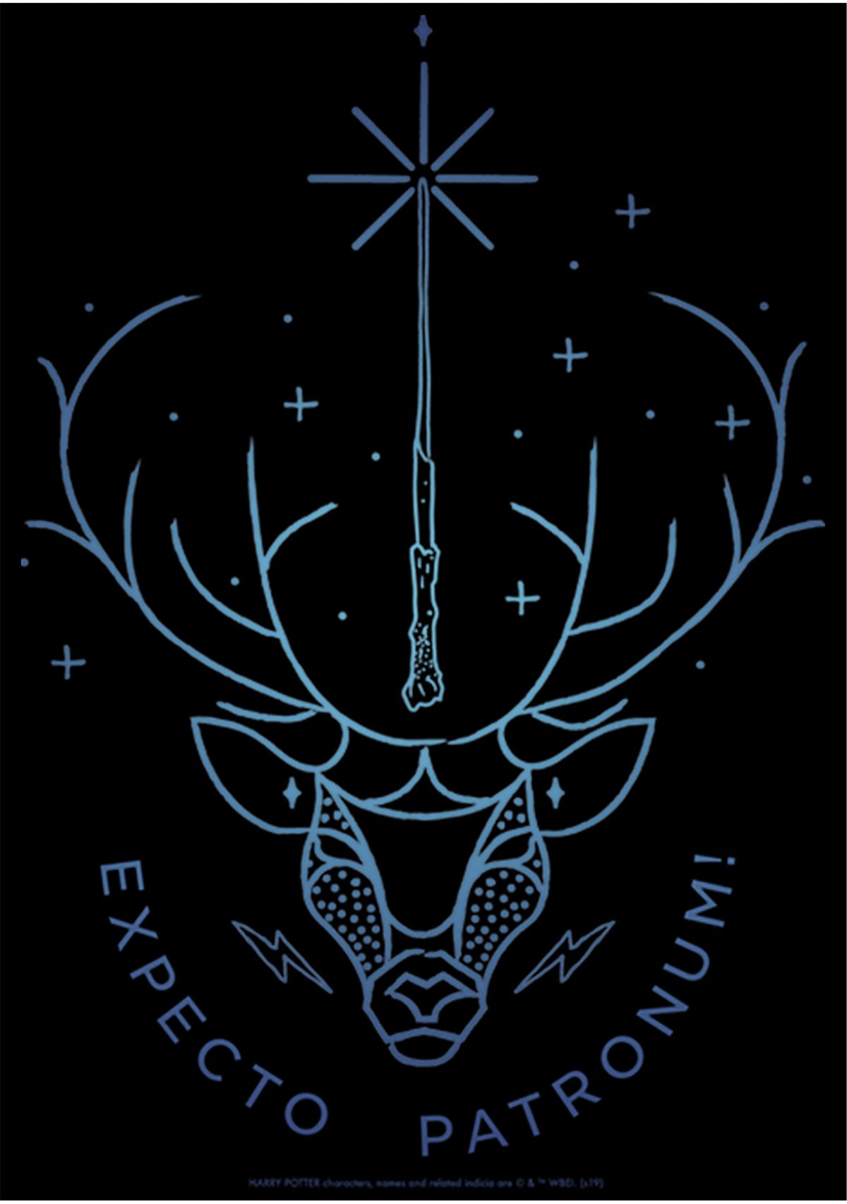 Harry Potter Expecto Patronum Stag Fleece Graphic Hoodie