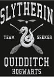 Harry Potter Slytherin Quidditch Seeker Long Sleeve Graphic Crew T-Shirt