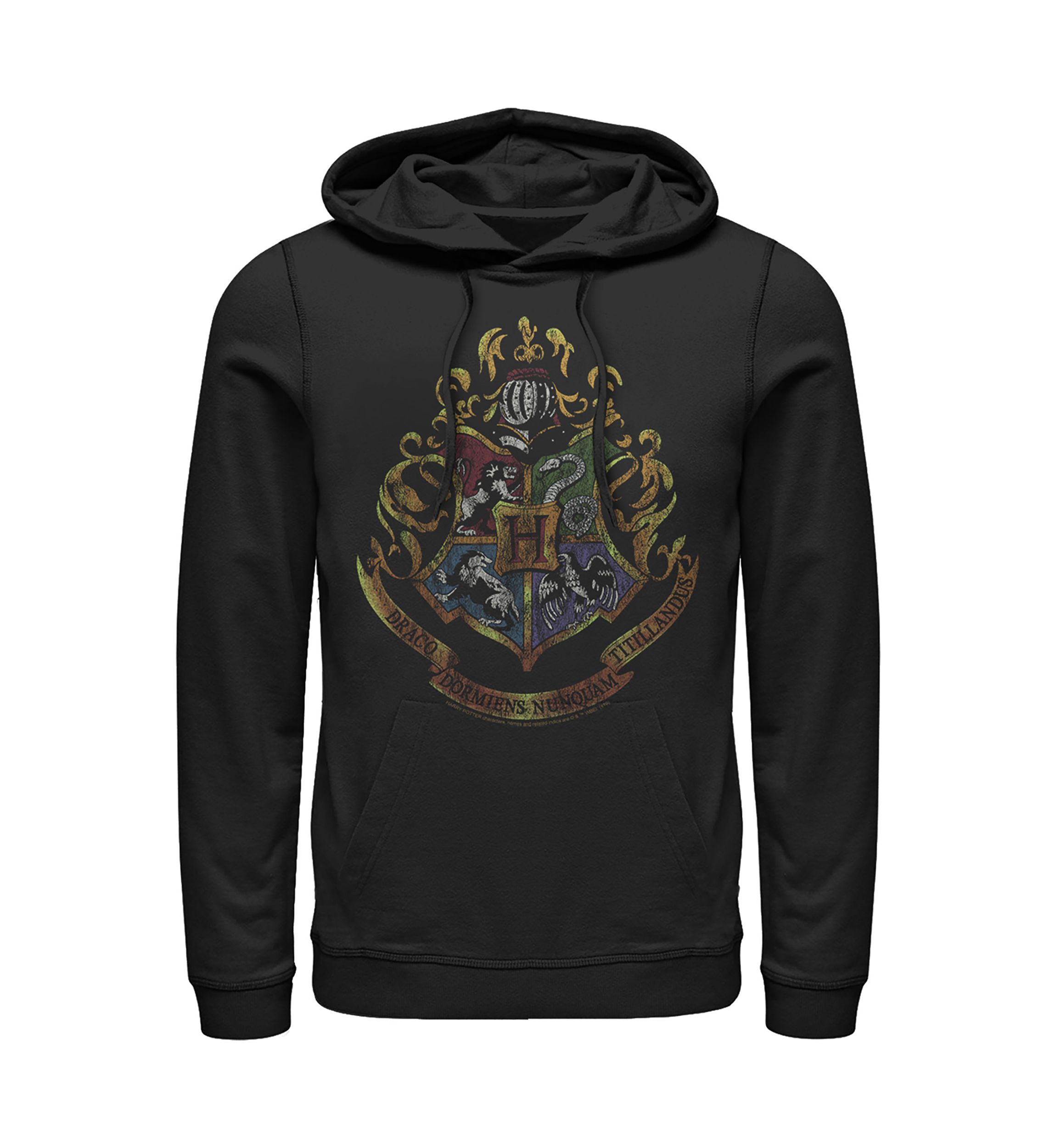 Harry Potter Dark Vintage Crest Fleece Graphic Hoodie