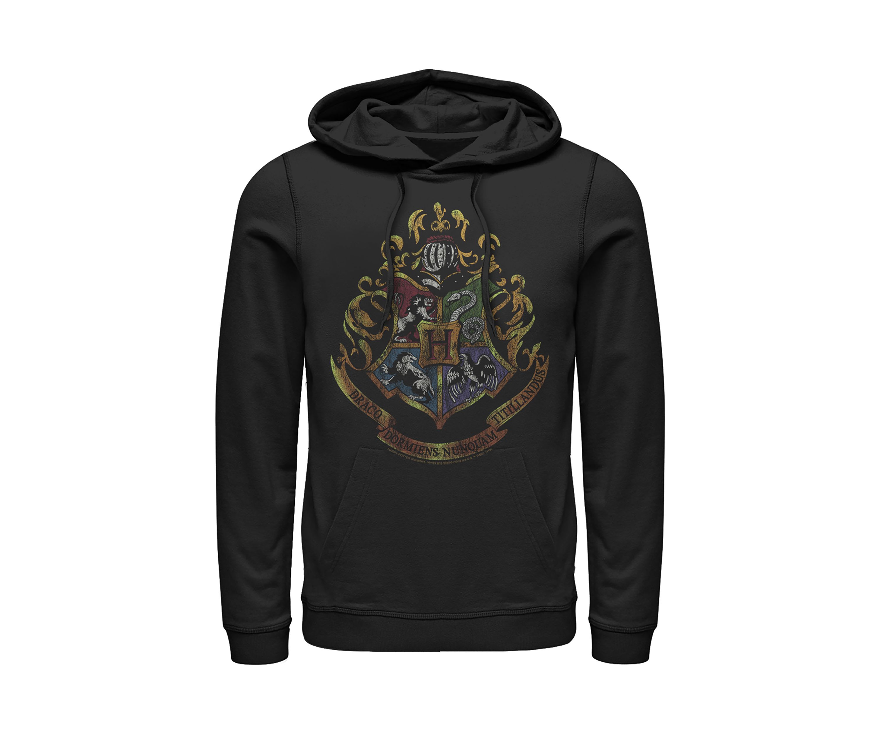 Harry Potter Dark Vintage Crest Fleece Graphic Hoodie