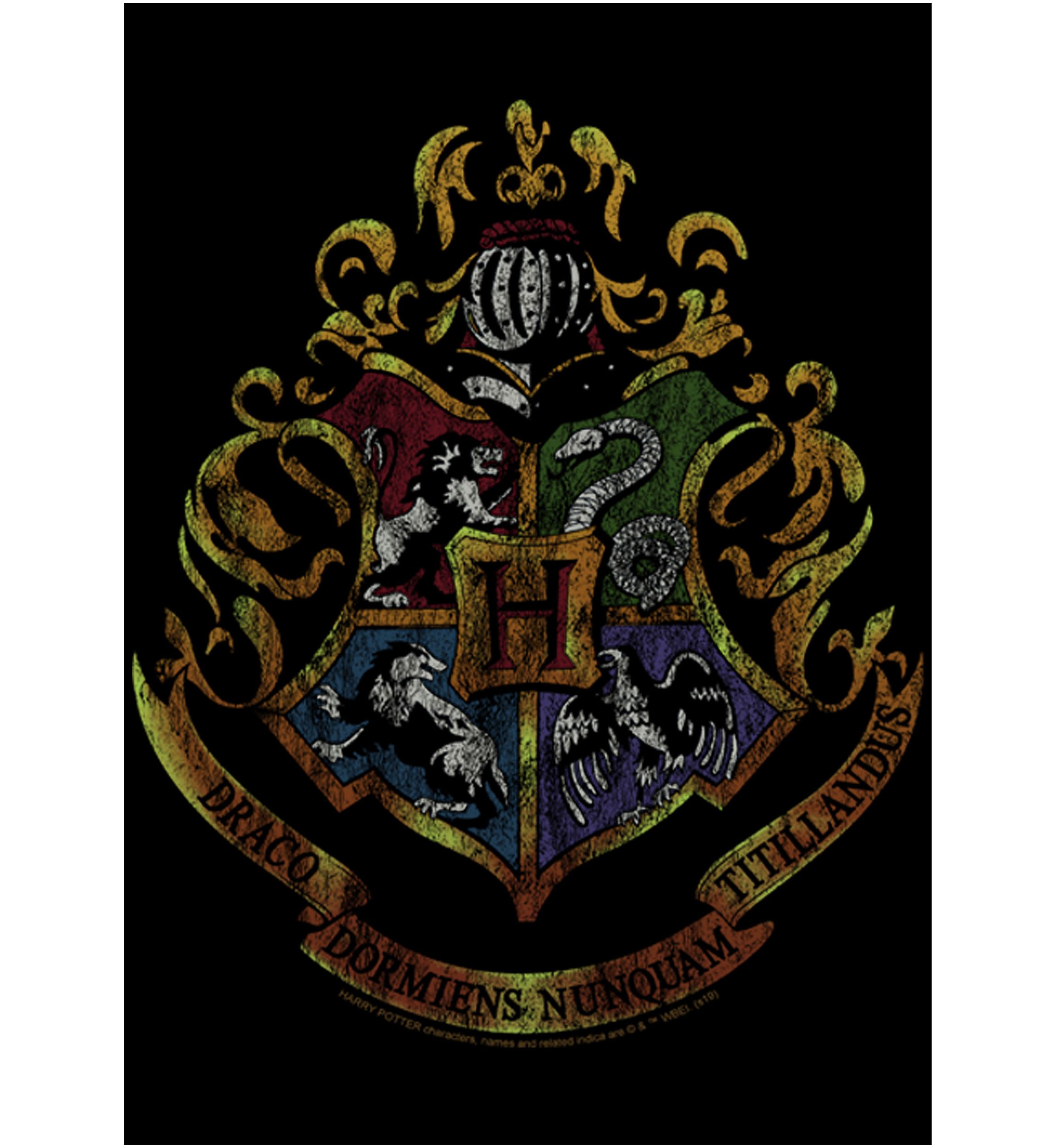 Harry Potter Dark Vintage Crest Fleece Graphic Hoodie