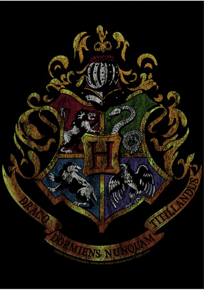 Harry Potter Dark Vintage Crest Fleece Graphic Hoodie