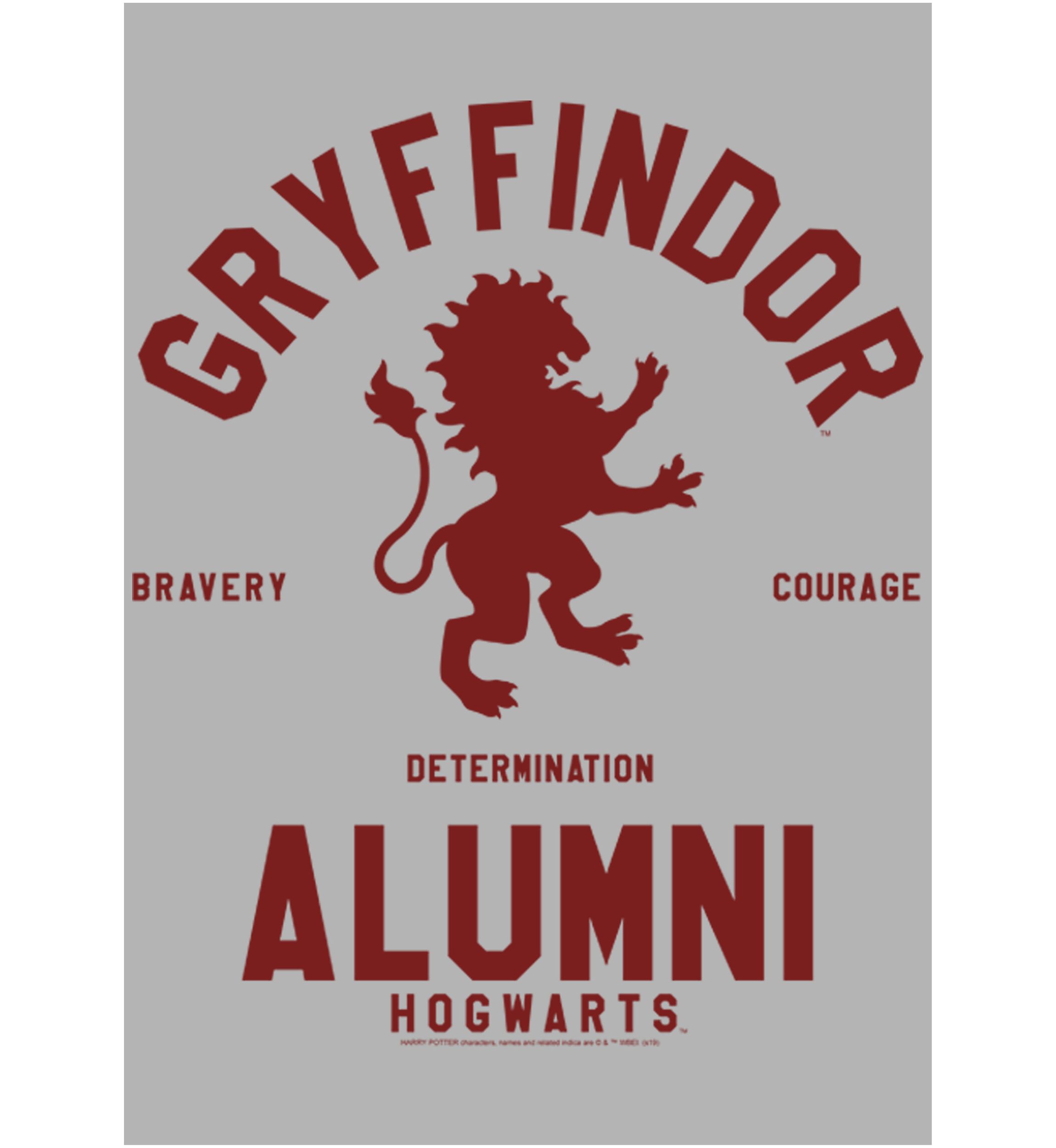 Harry Potter Gryffindor House Alumni Fleece Graphic Hoodie