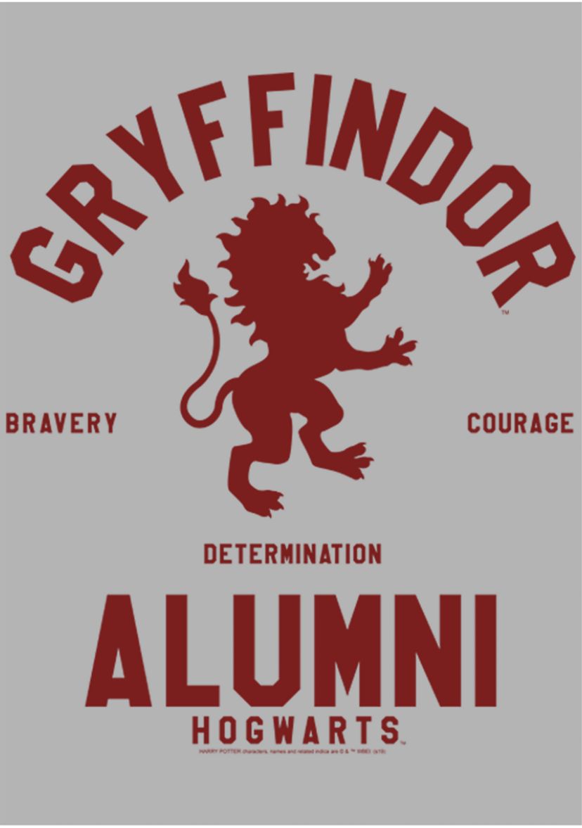 Harry Potter Gryffindor House Alumni Fleece Graphic Hoodie