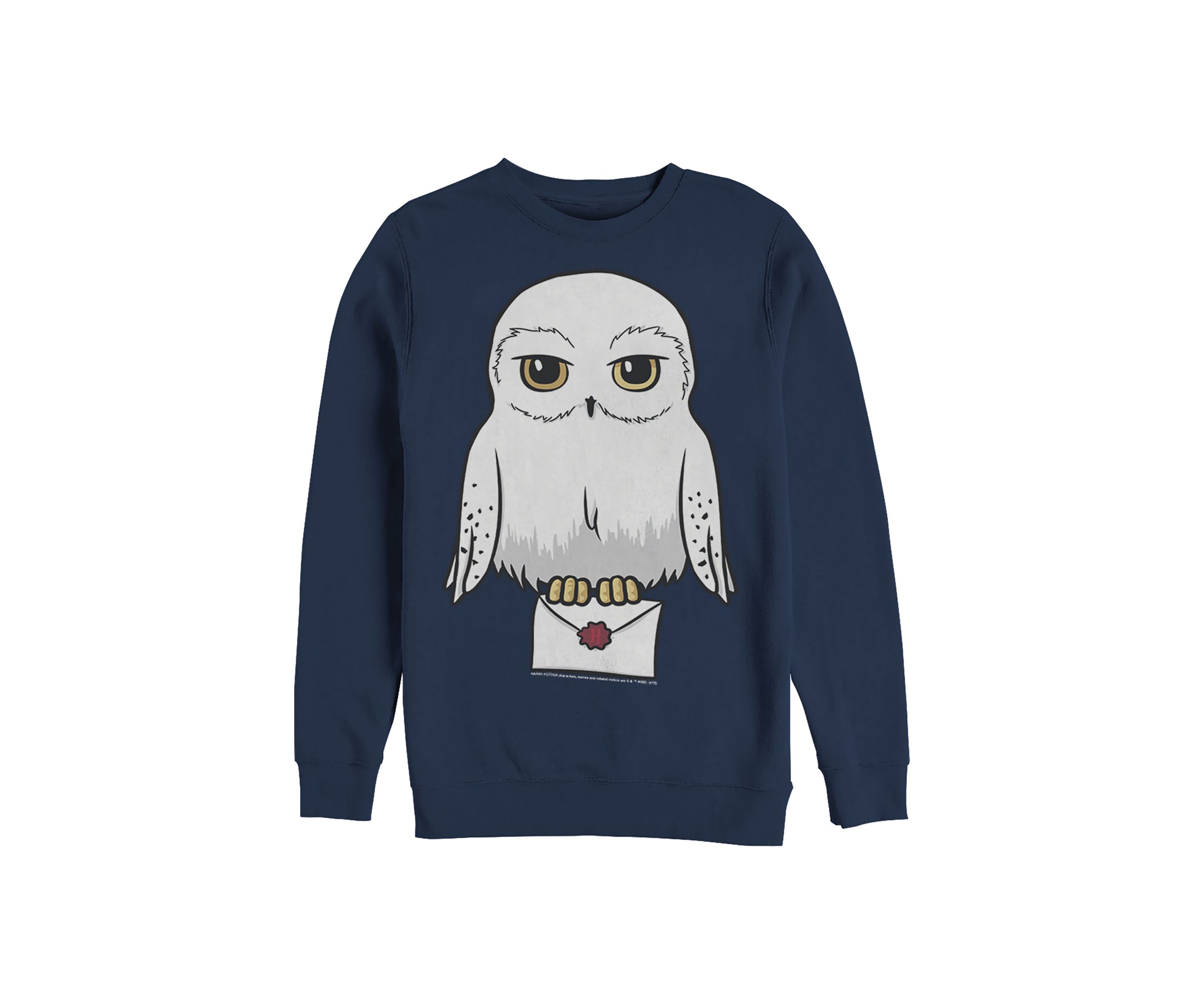 Harry Potter Anime Hedwig Mail Crew Fleece Graphic Sweatshirt