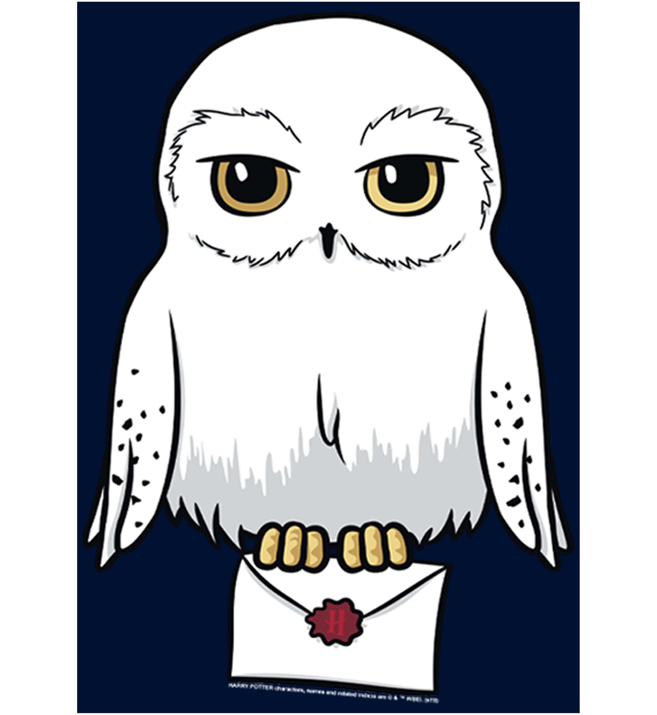 Harry Potter Anime Hedwig Mail Crew Fleece Graphic Sweatshirt