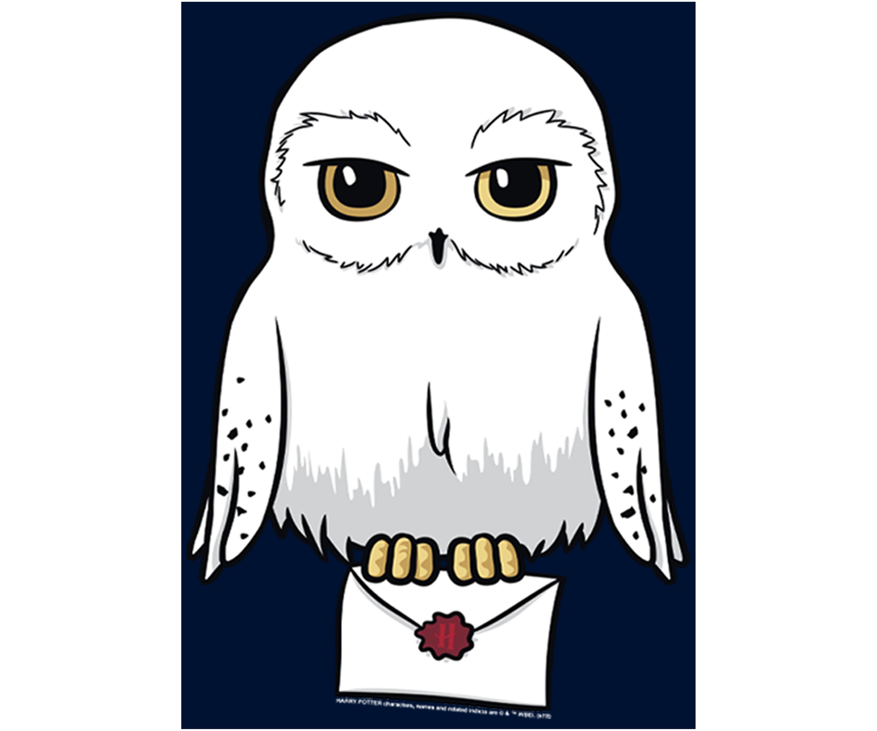 Harry Potter Anime Hedwig Mail Crew Fleece Graphic Sweatshirt
