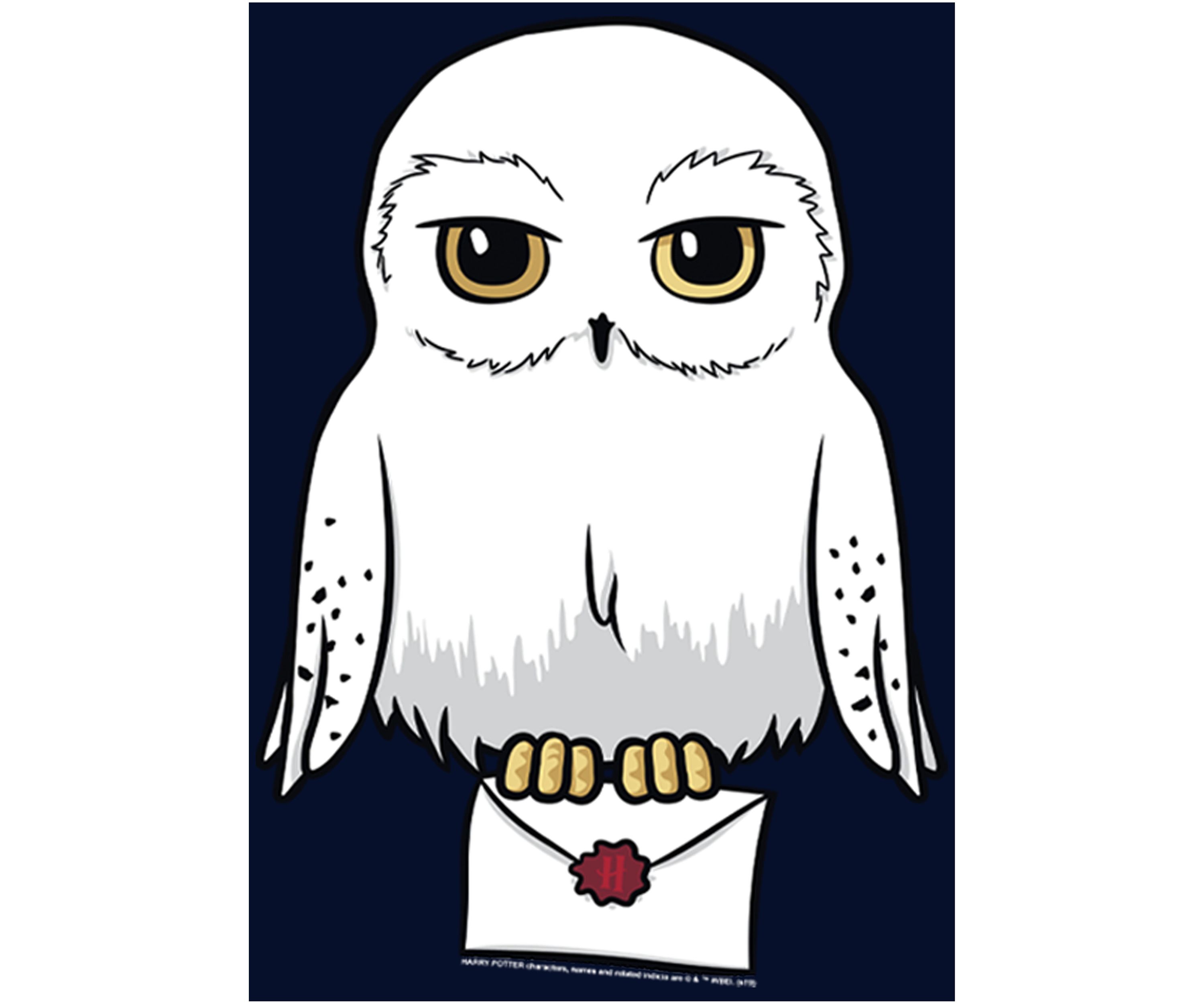 Harry Potter Anime Hedwig Mail Fleece Graphic Hoodie
