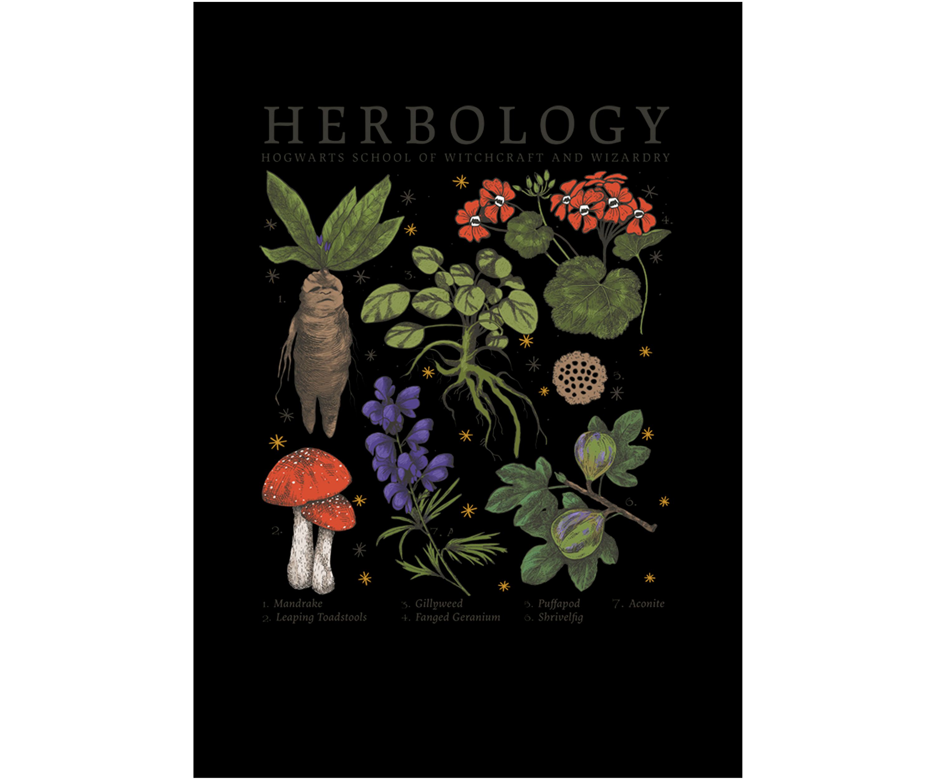 Mens Harry Potter Herbology Fleece Graphic Hoodie