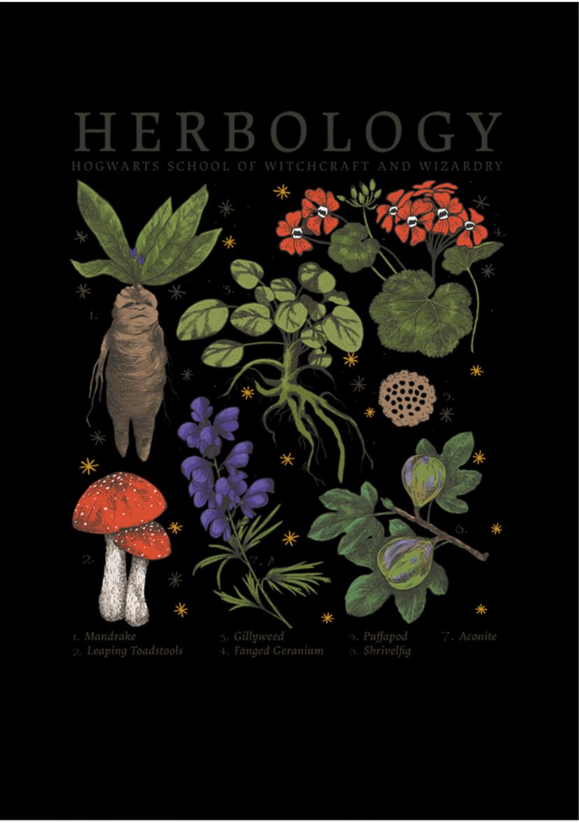 Mens Harry Potter Herbology Fleece Graphic Hoodie