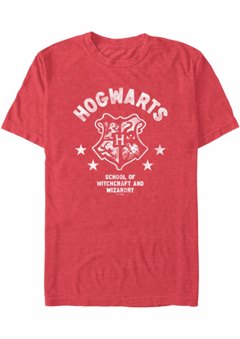 School Of Wizards Graphic T-Shirt