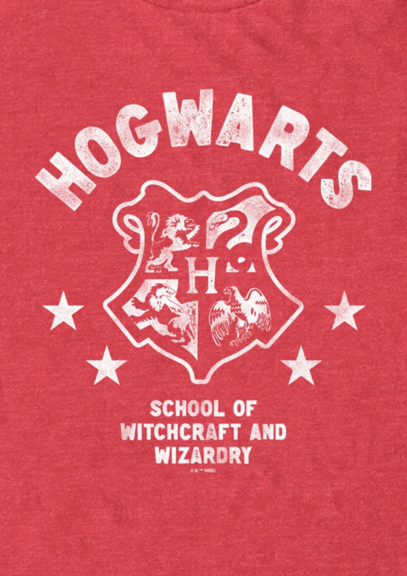 School Of Wizards Graphic T-Shirt