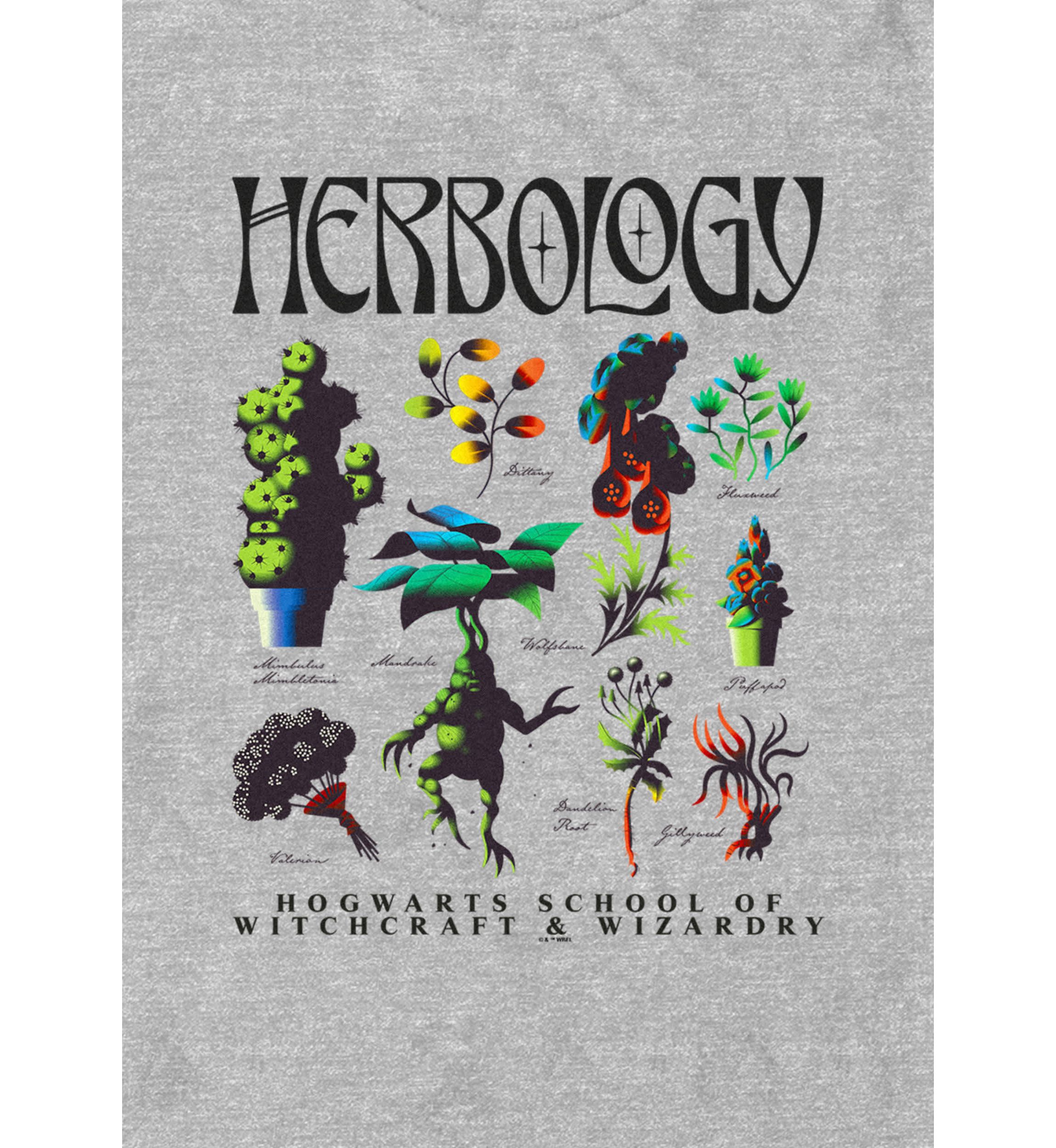 Flash Sheet Graphic T-Shirt