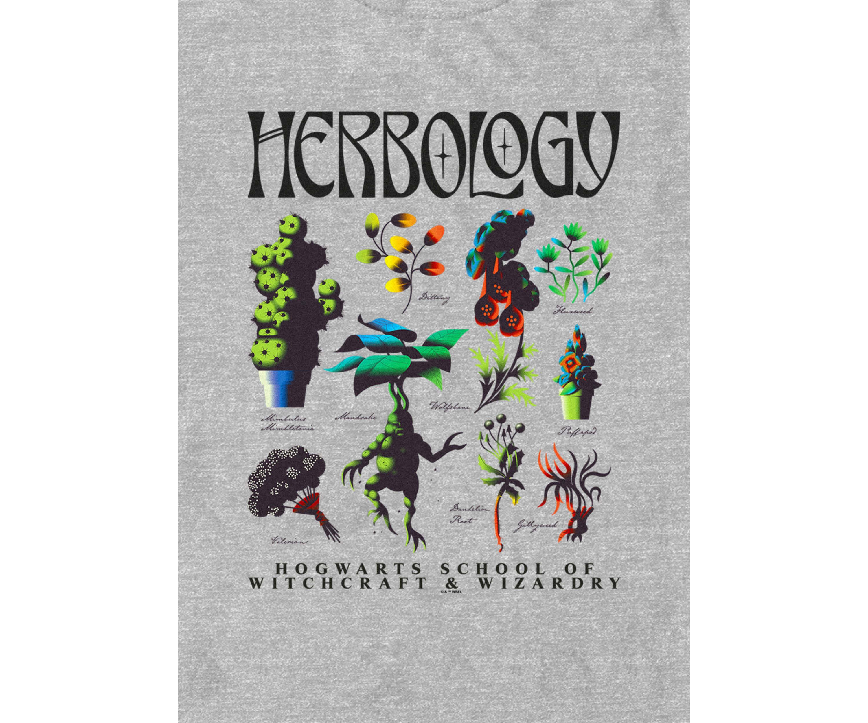 Flash Sheet Graphic T-Shirt