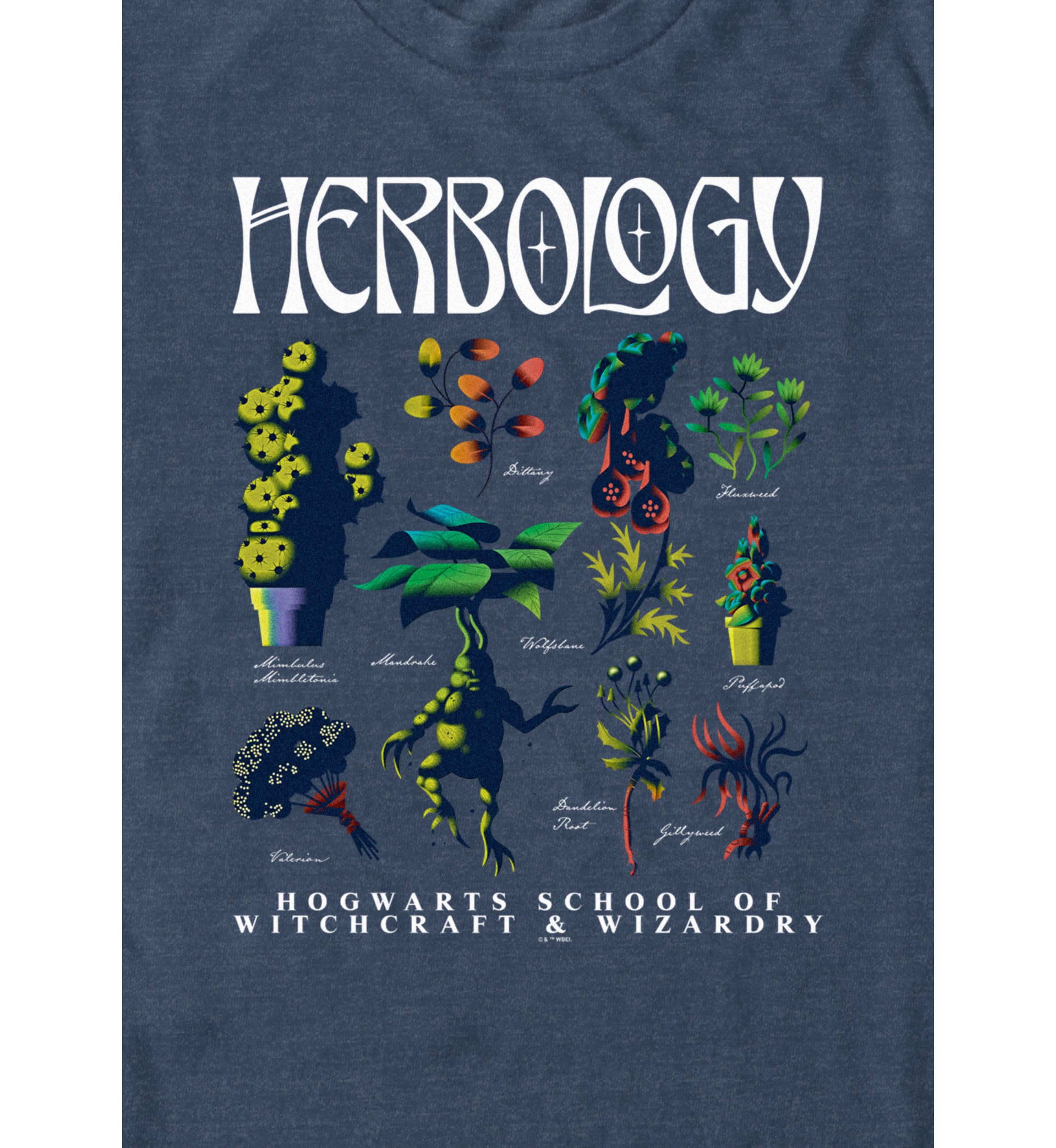 Flash Sheet Graphic T-Shirt