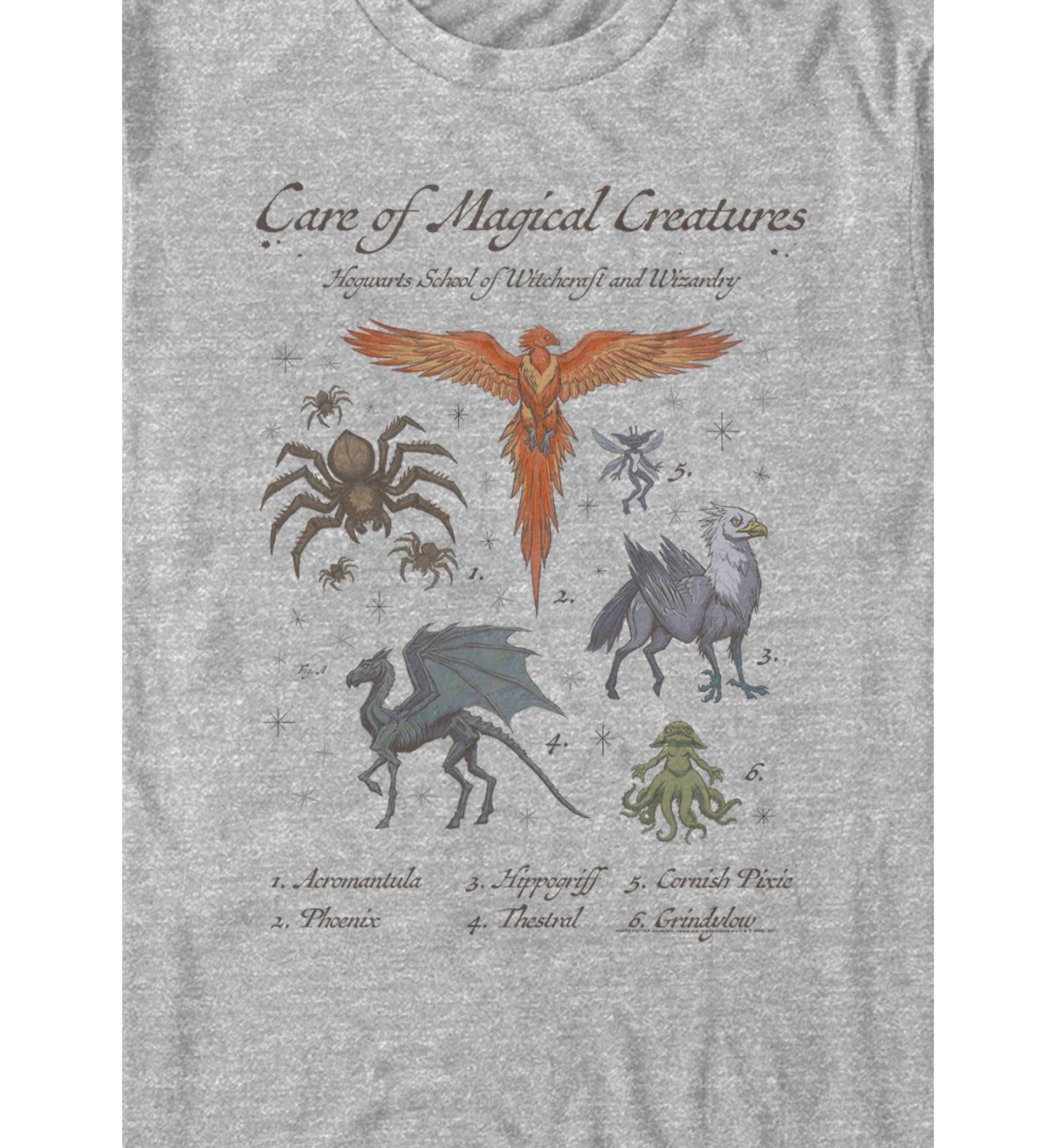 Magical Creatures Class Diagram Graphic T-Shirt