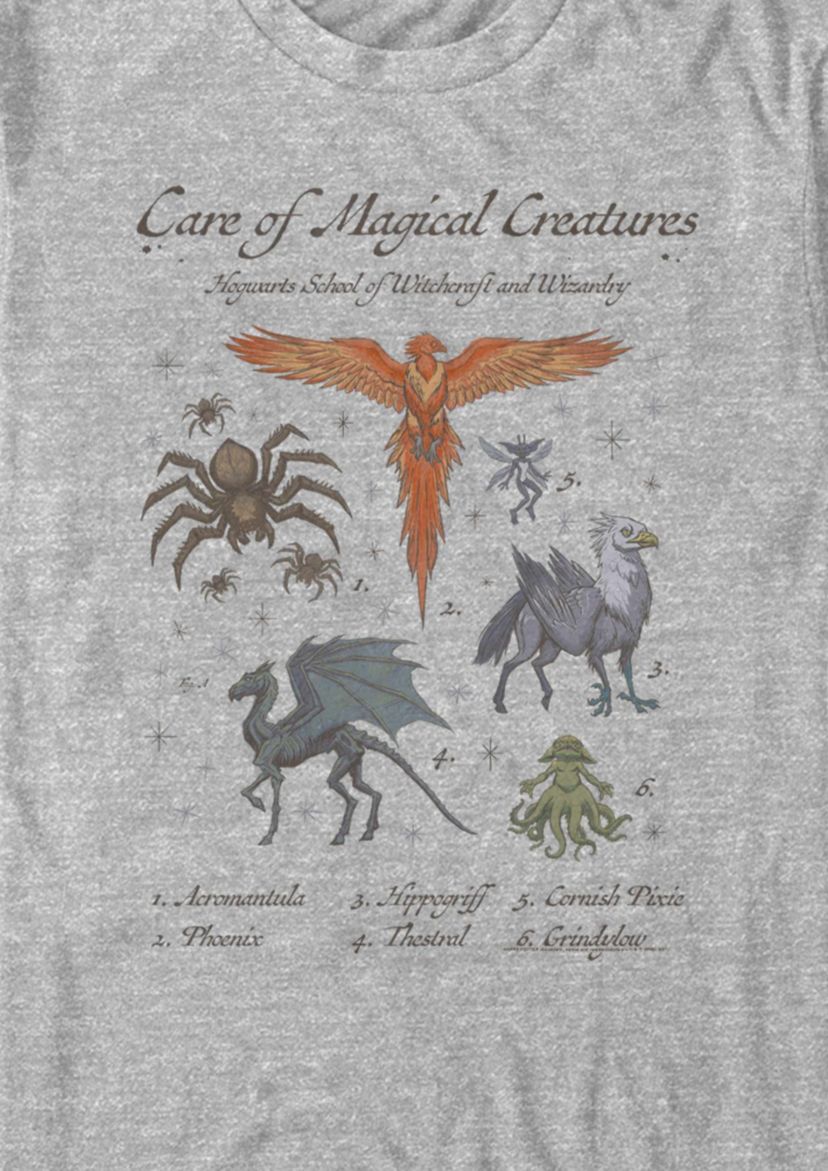 Magical Creatures Class Diagram Graphic T-Shirt