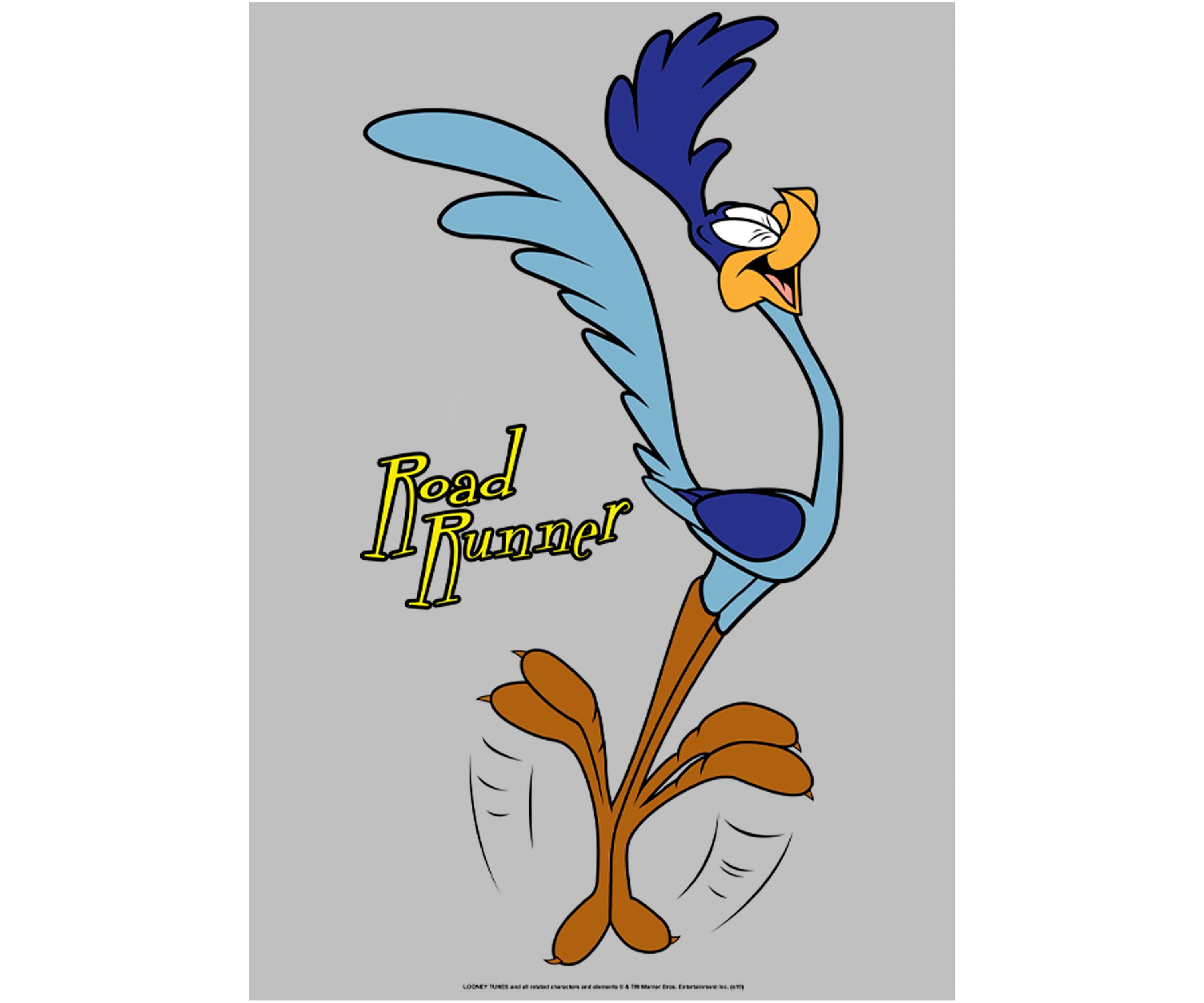 Faces Of Road Runner
