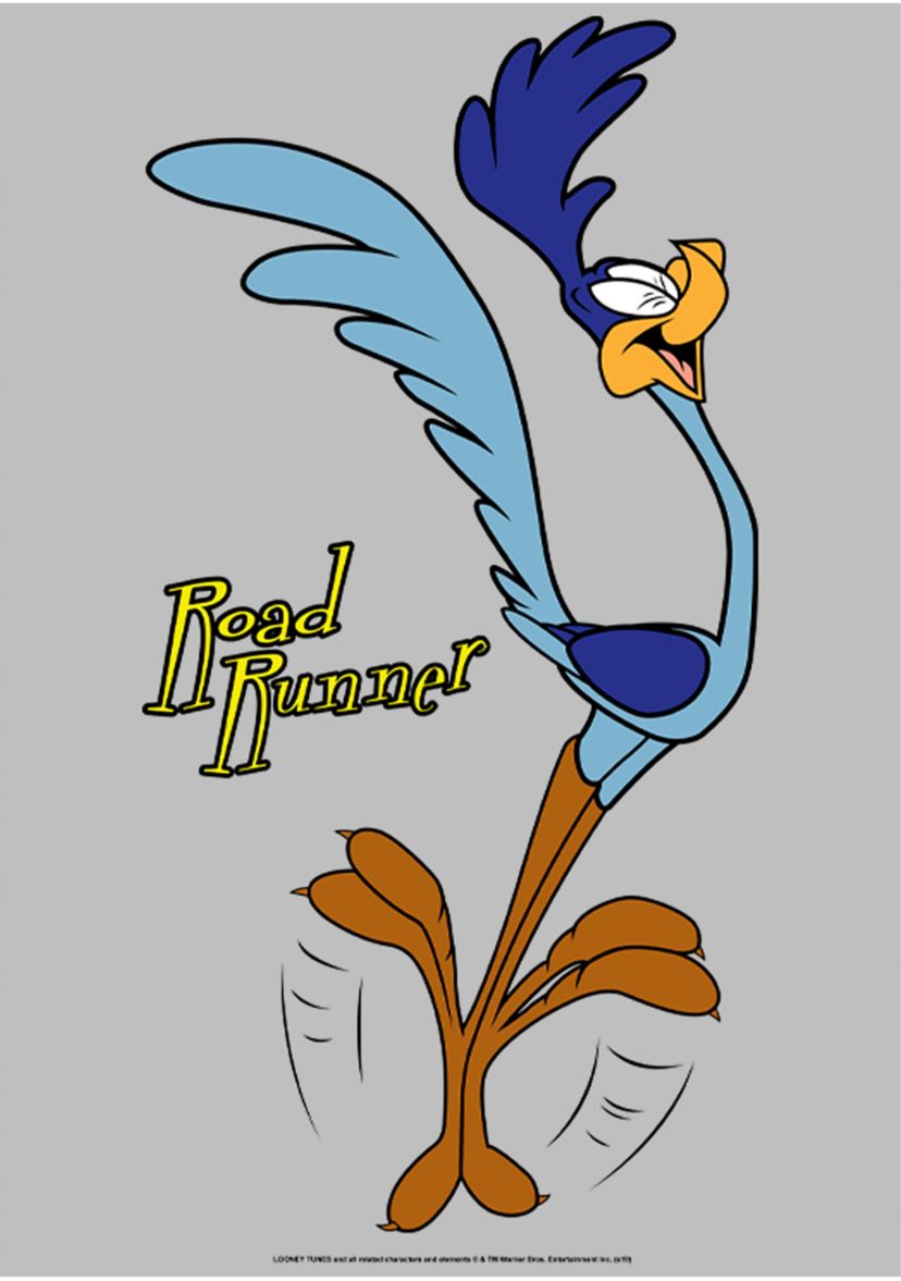 Faces Of Road Runner