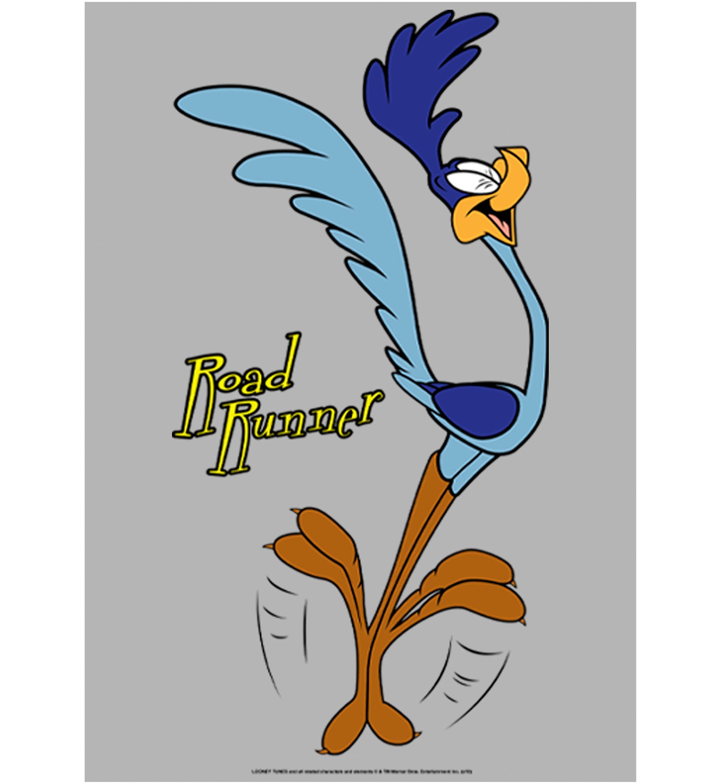 Faces of Road Runner Graphic Fleece Hoodie