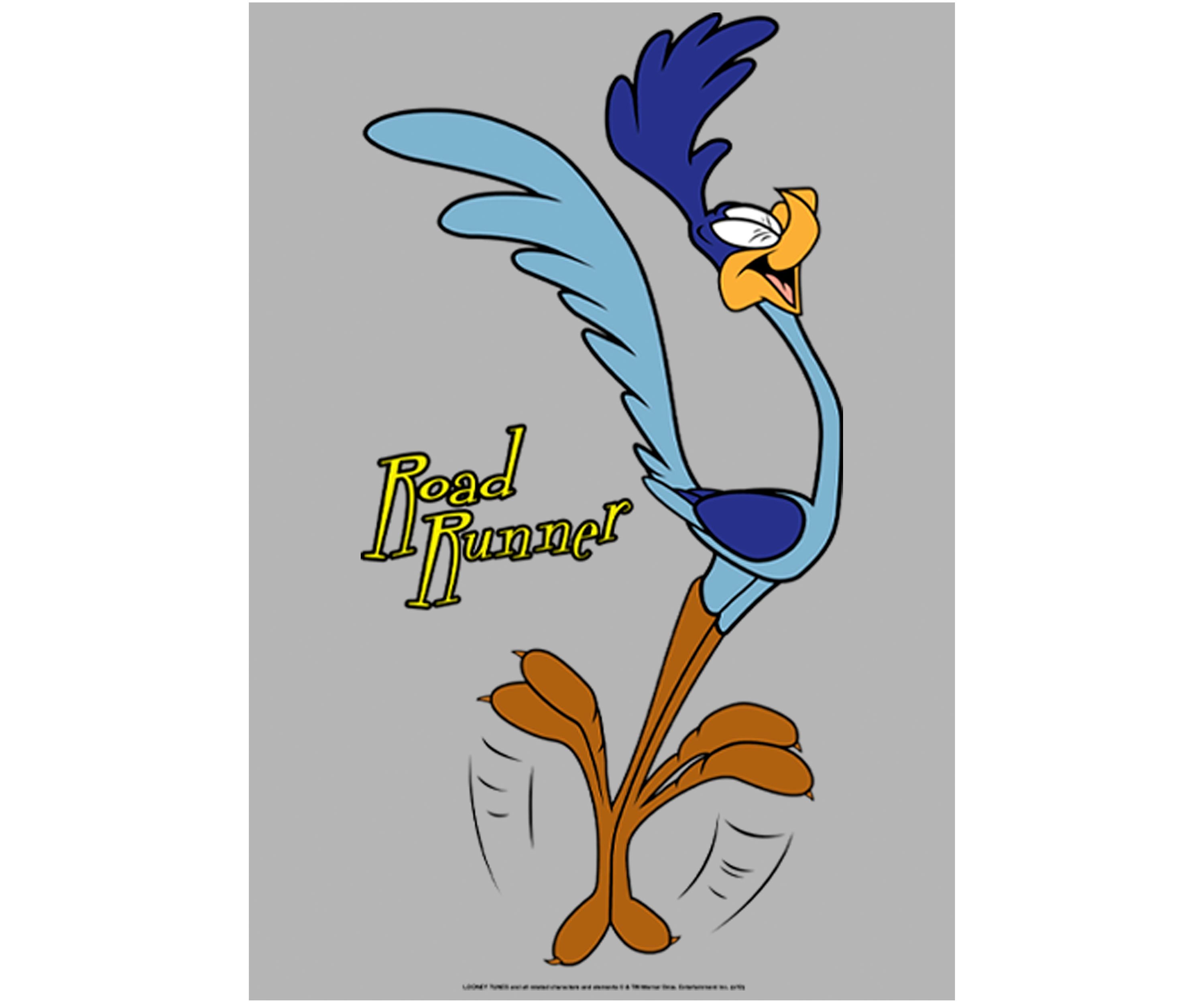 Faces of Road Runner Graphic Fleece Hoodie