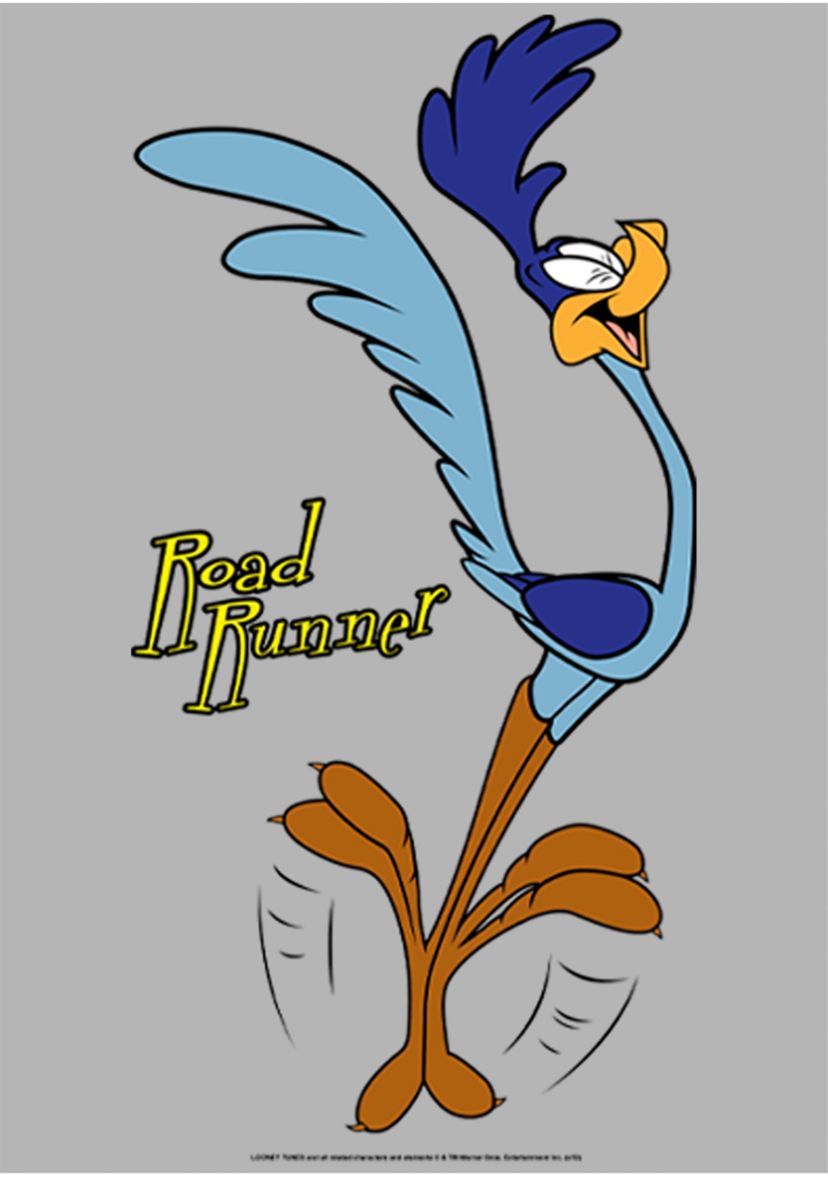 Faces of Road Runner Graphic Fleece Hoodie