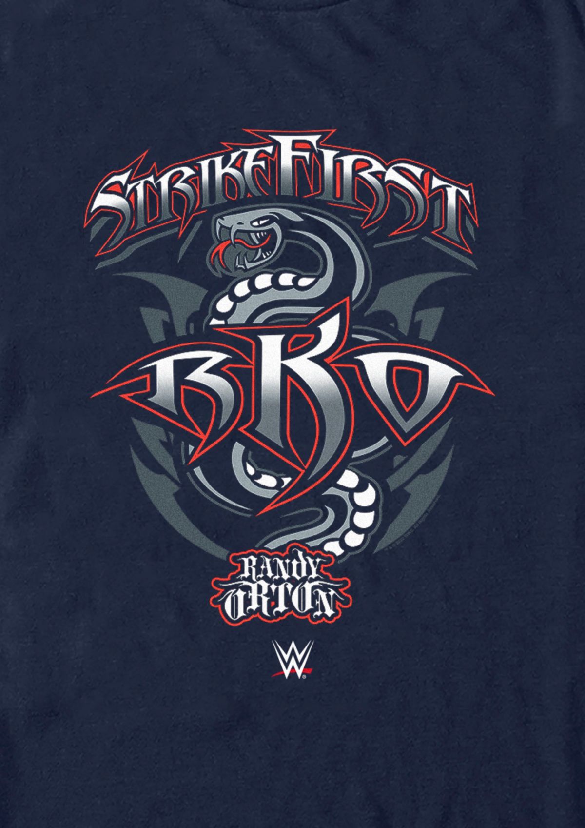 Roko Snake Strike Graphic T-Shirt