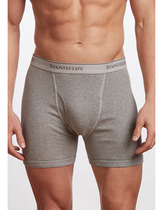 Stanfield's Men's 100% Cotton Brief Underwear- 2 Pack belk